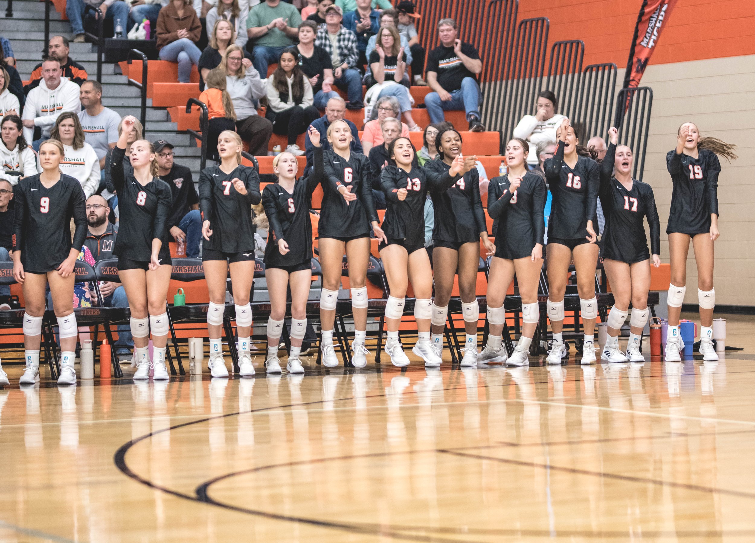 Tigers vs Alex (807).JPG