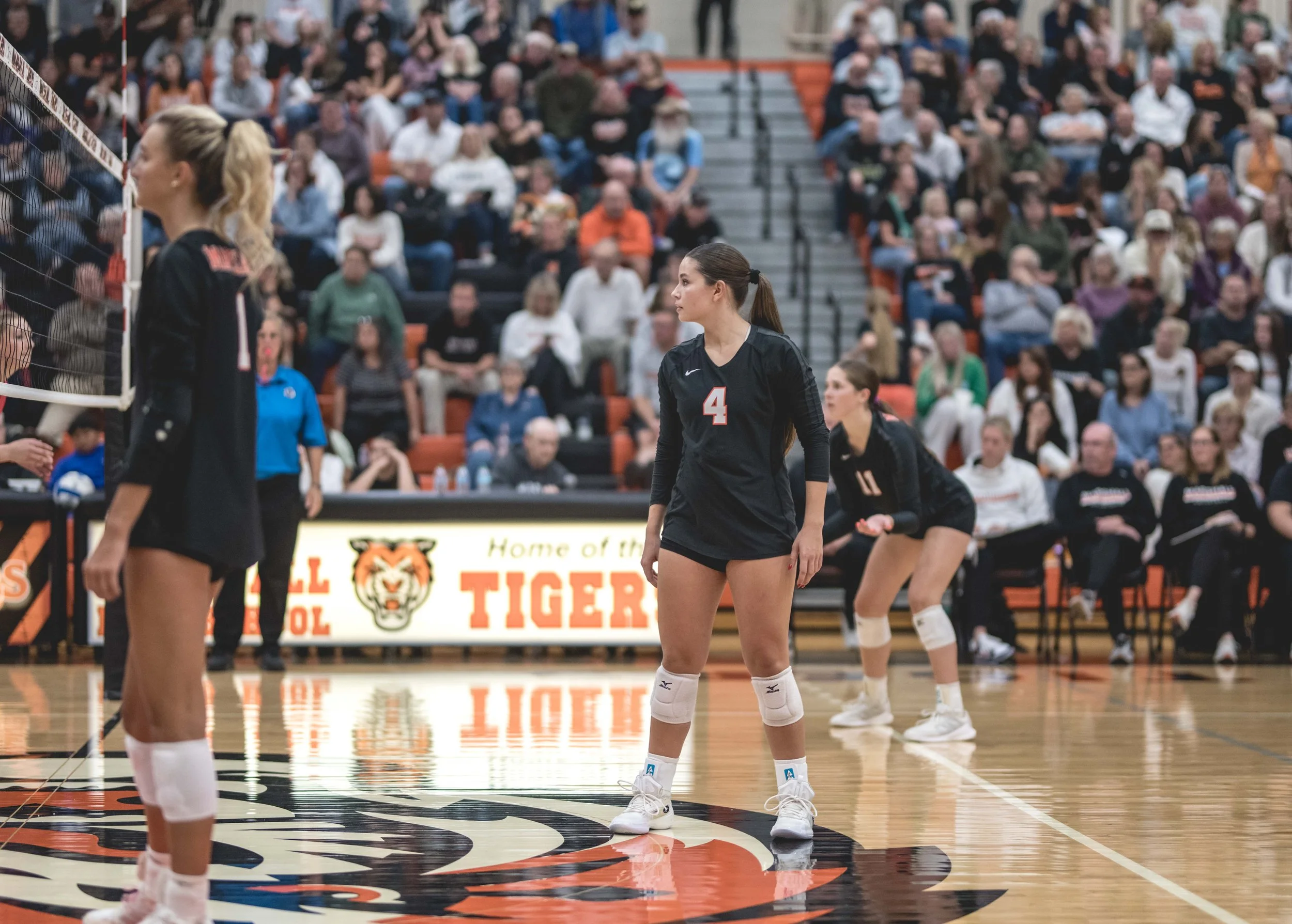 Tigers vs Alex (825).JPG