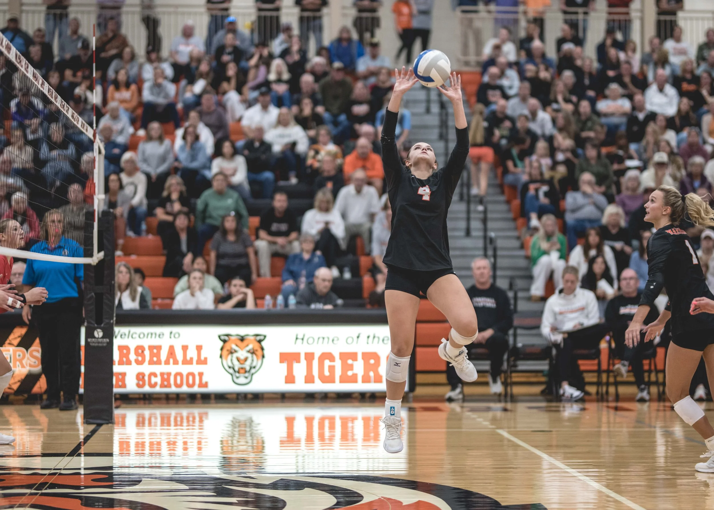 Tigers vs Alex (827).JPG