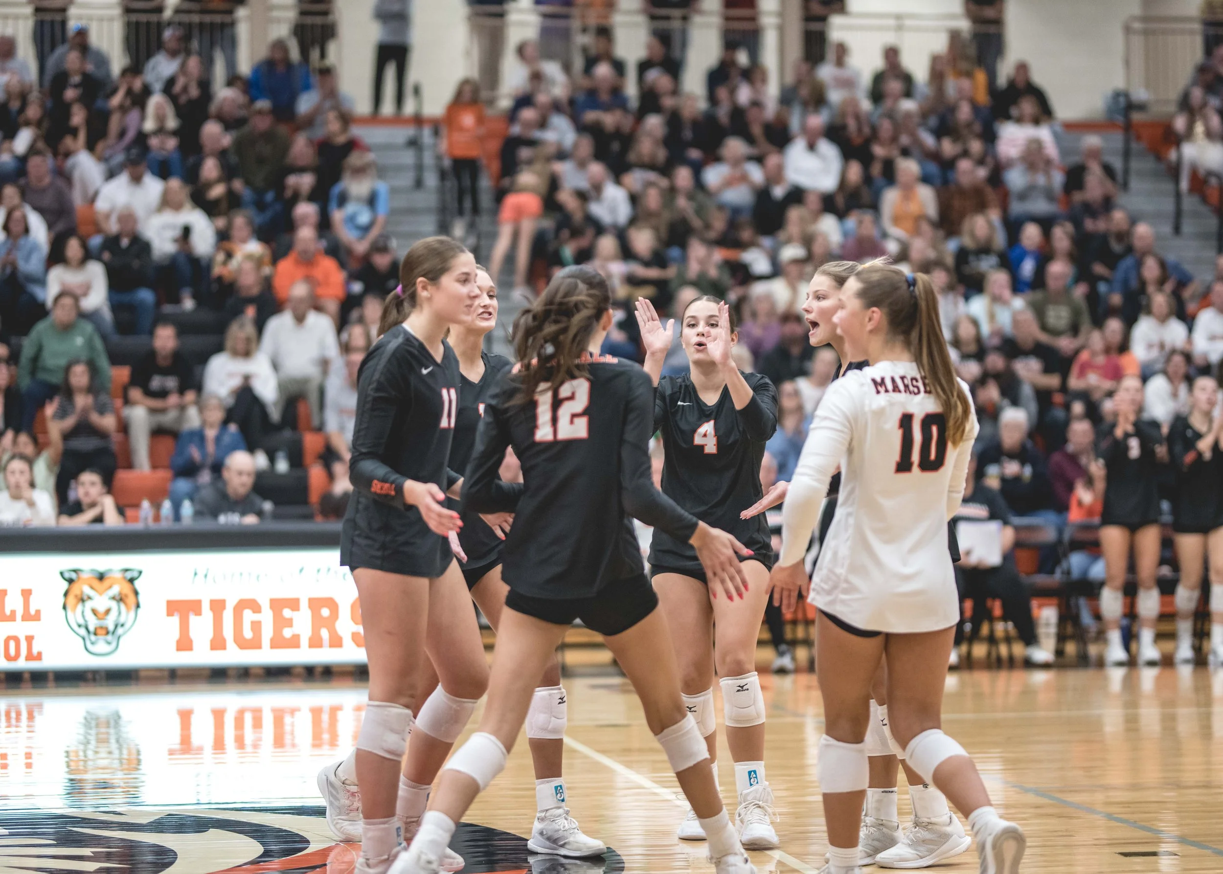 Tigers vs Alex (830).JPG