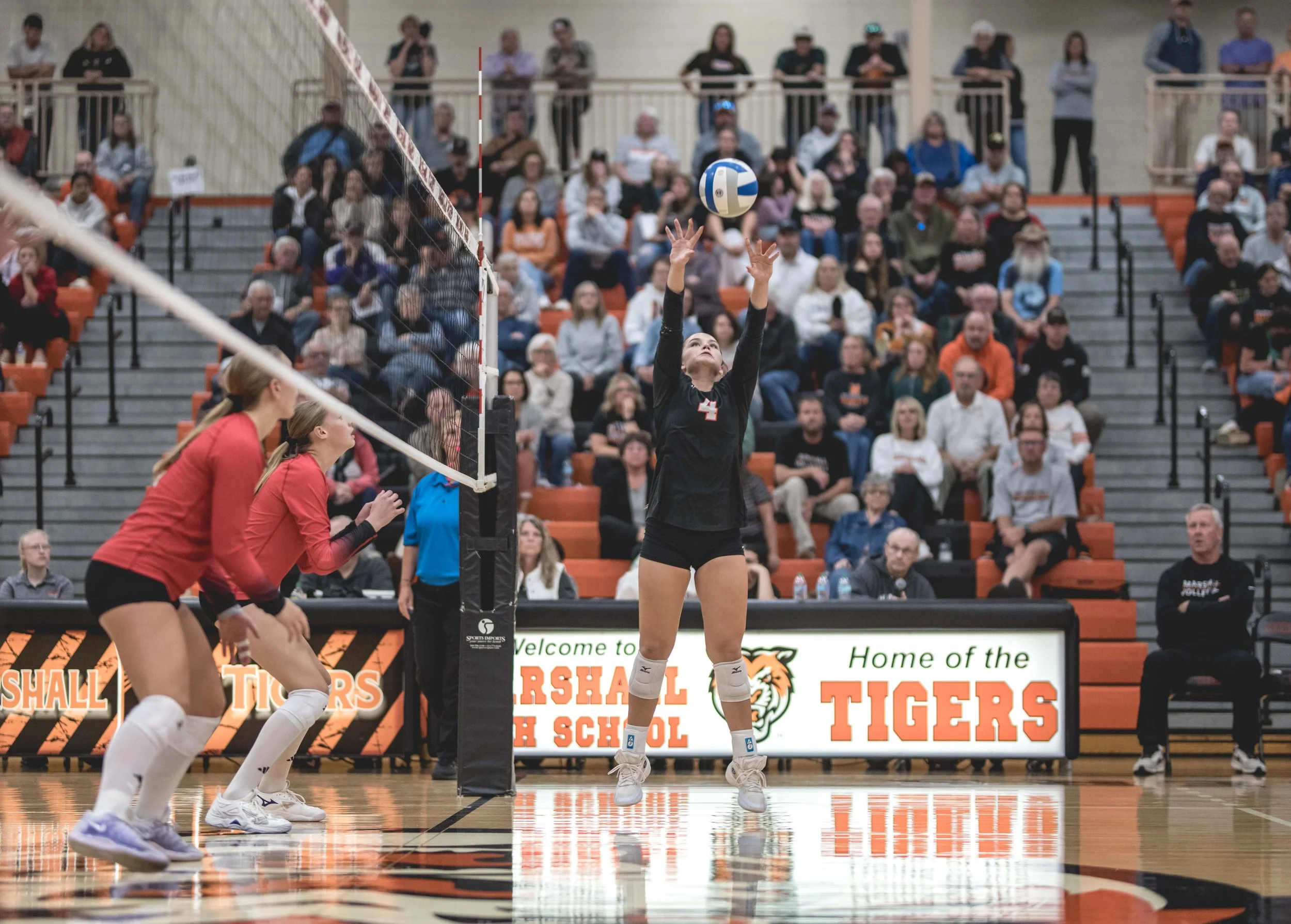 Tigers vs Alex (836).JPG