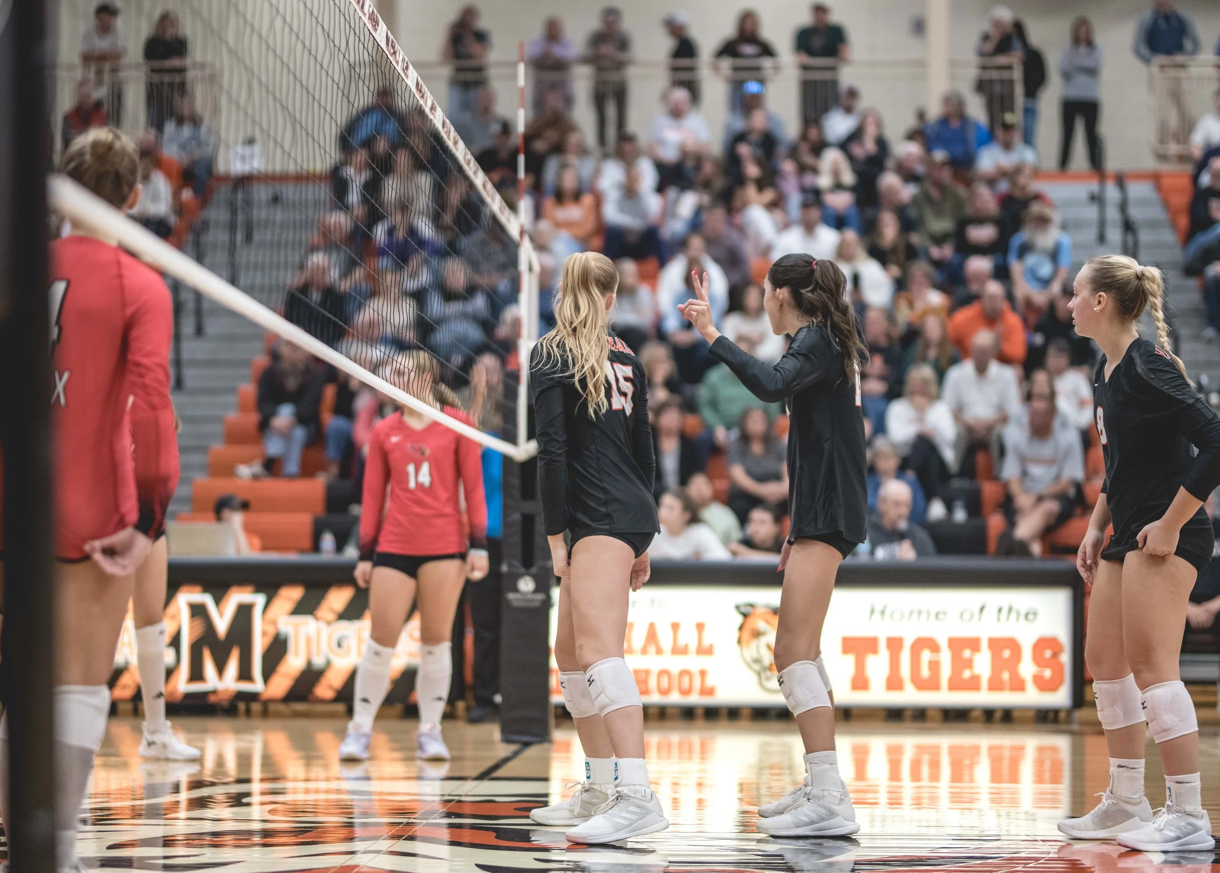 Tigers vs Alex (840).JPG