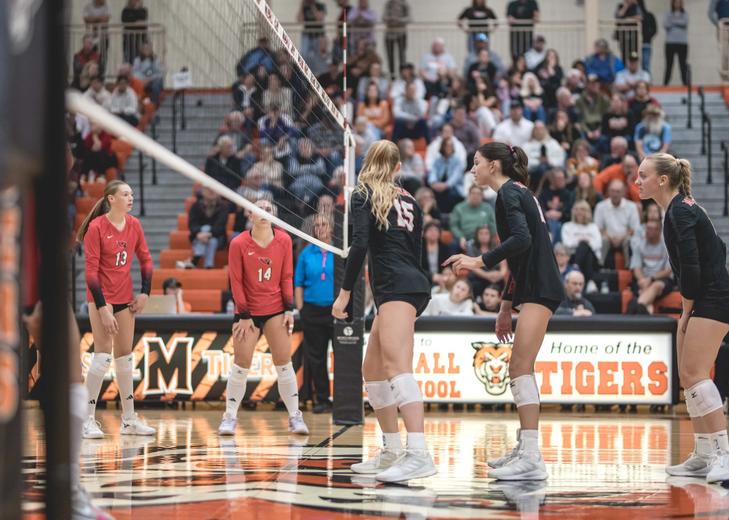 Tigers vs Alex (841).JPG