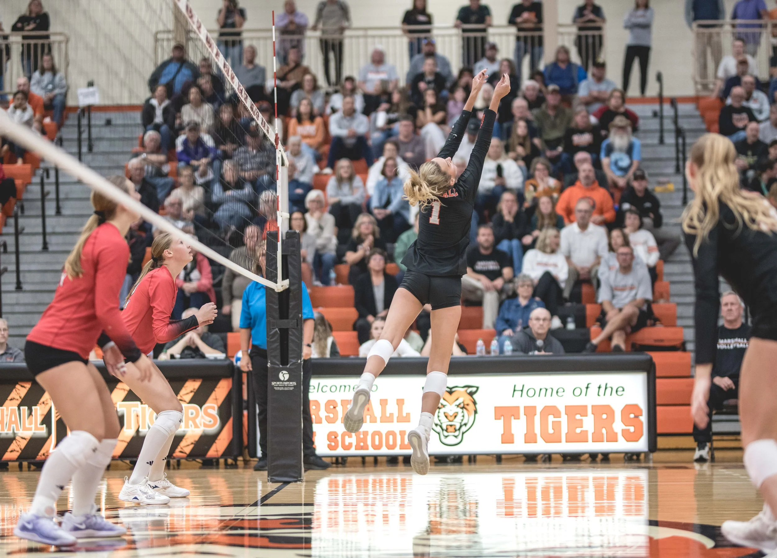 Tigers vs Alex (846).JPG