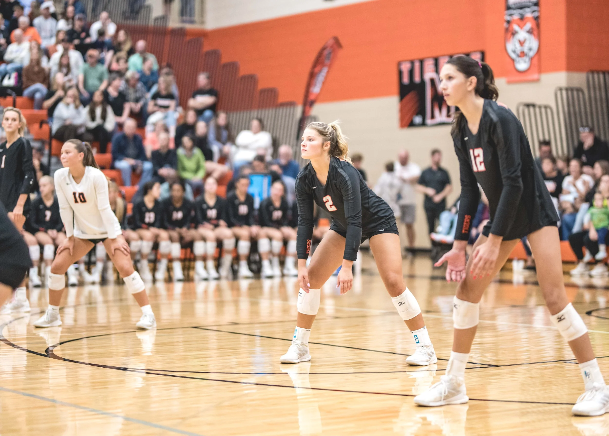 Tigers vs Alex (847).JPG