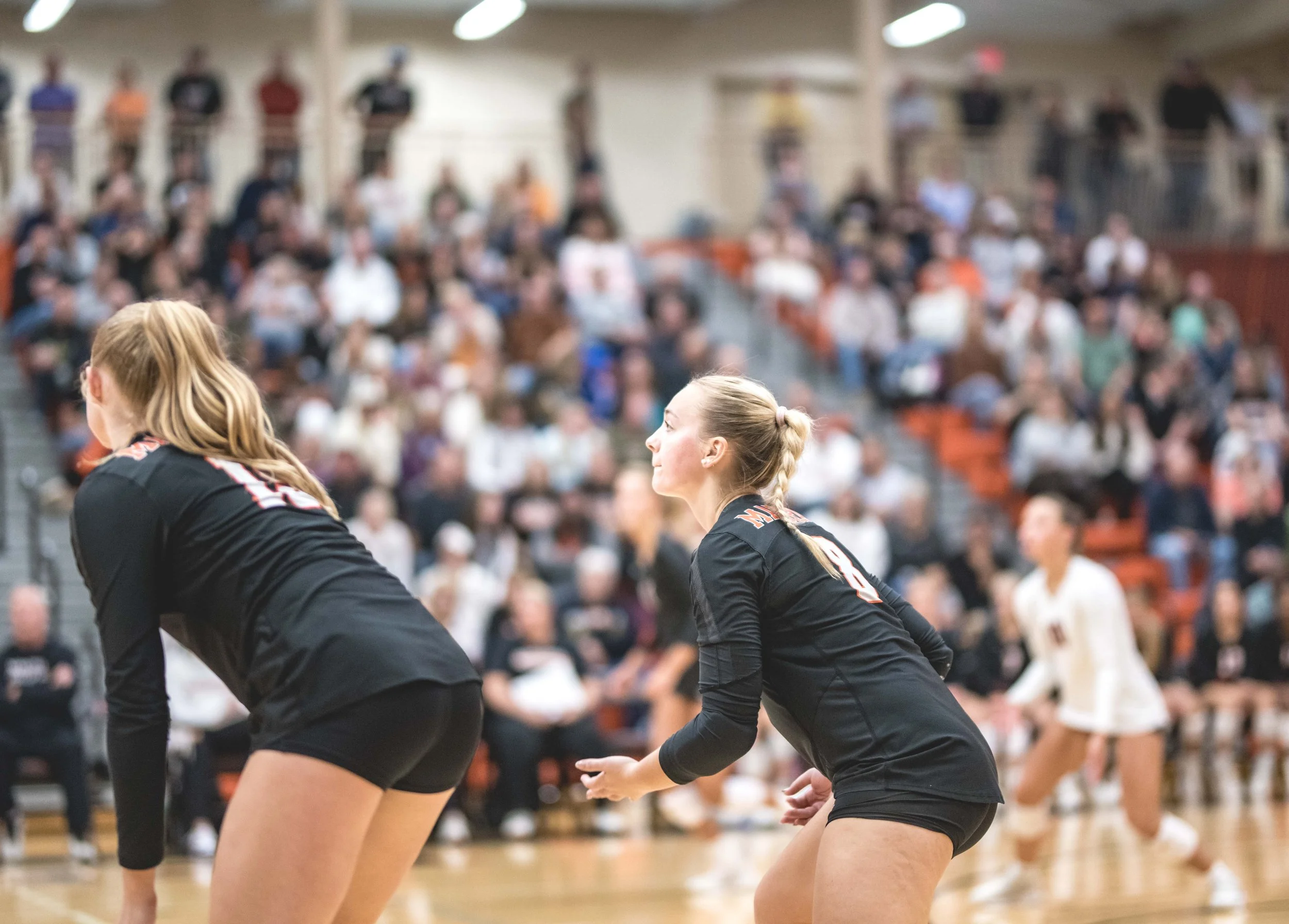 Tigers vs Alex (848).JPG