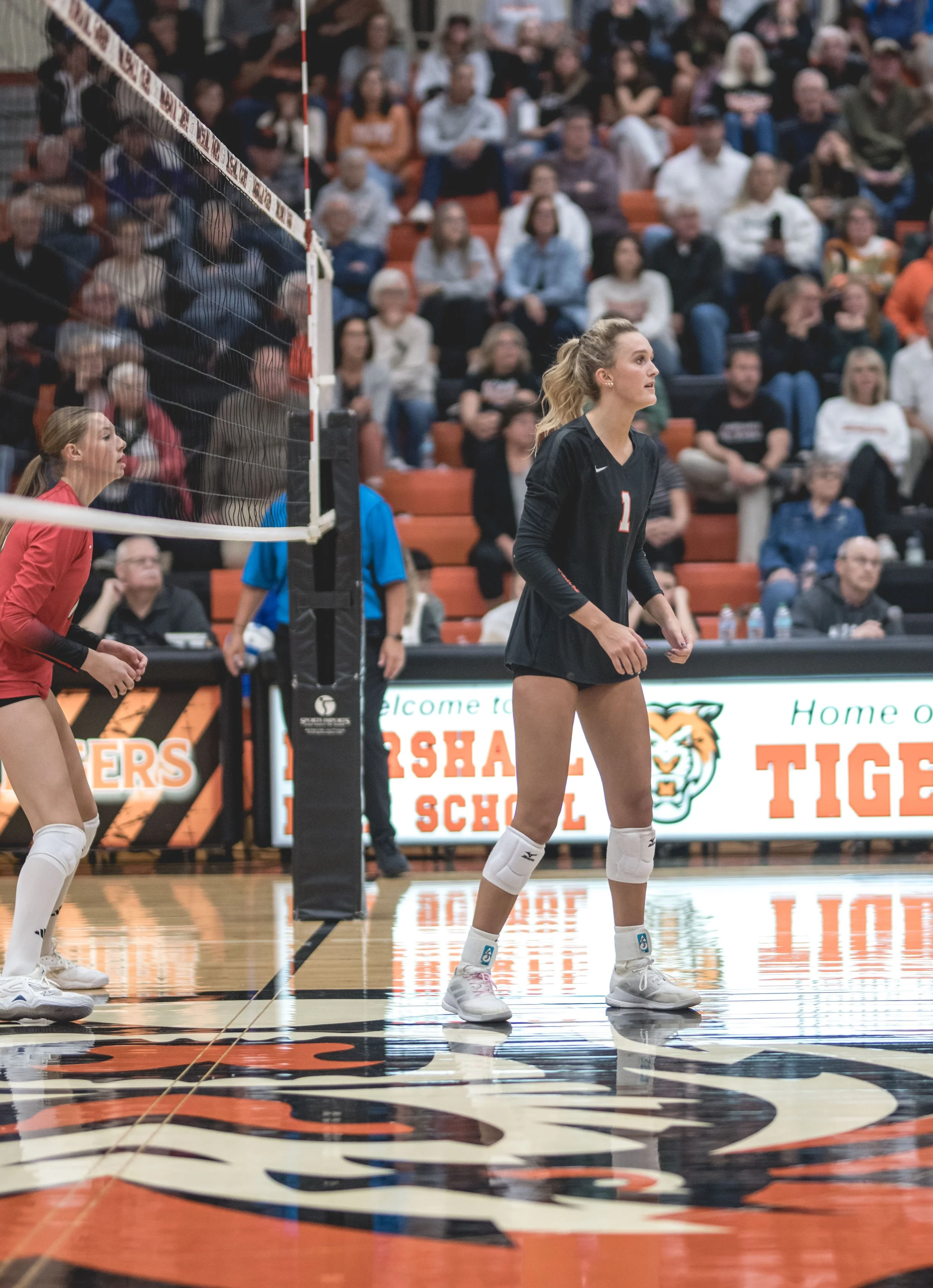 Tigers vs Alex (850).JPG