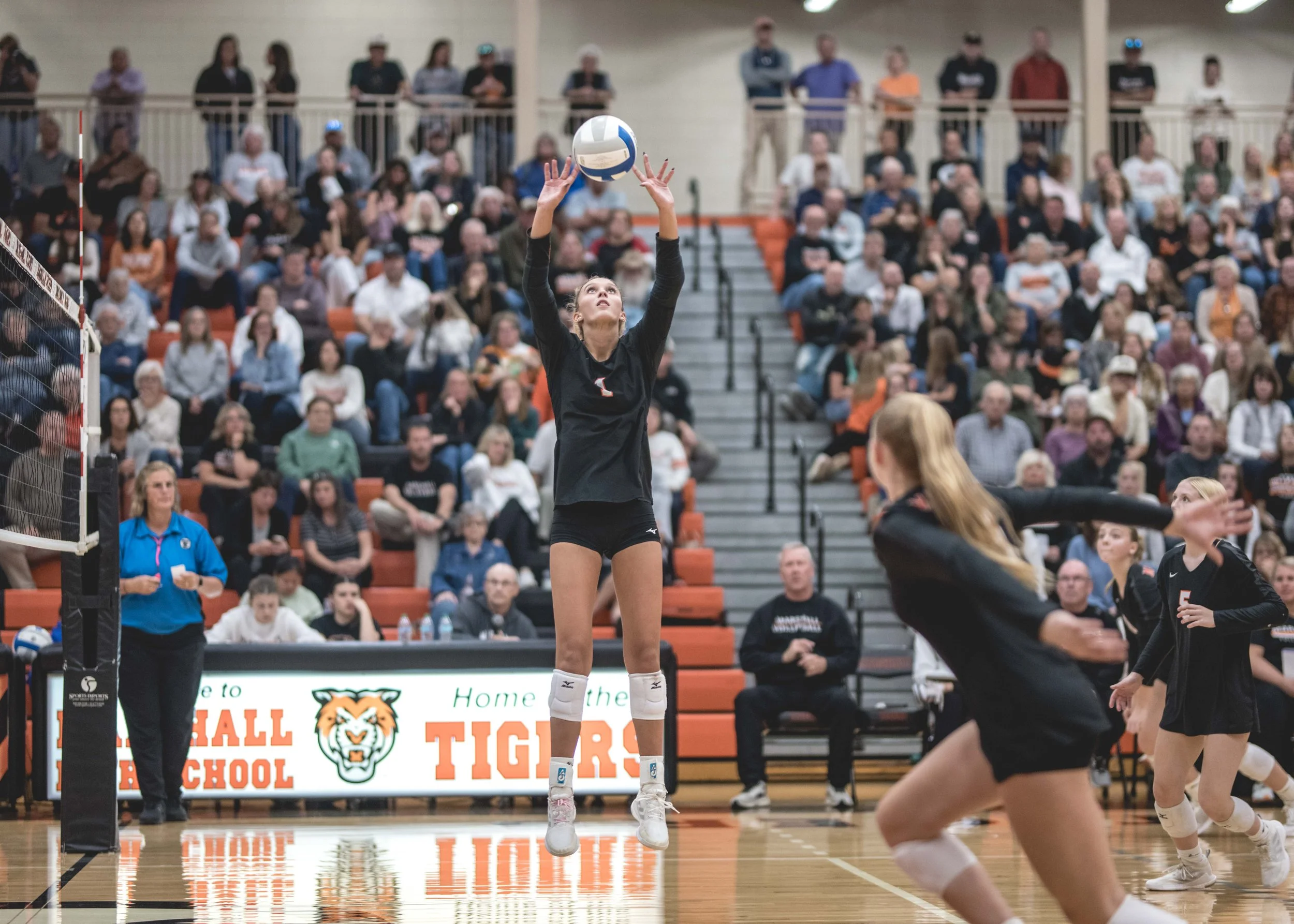 Tigers vs Alex (859).JPG