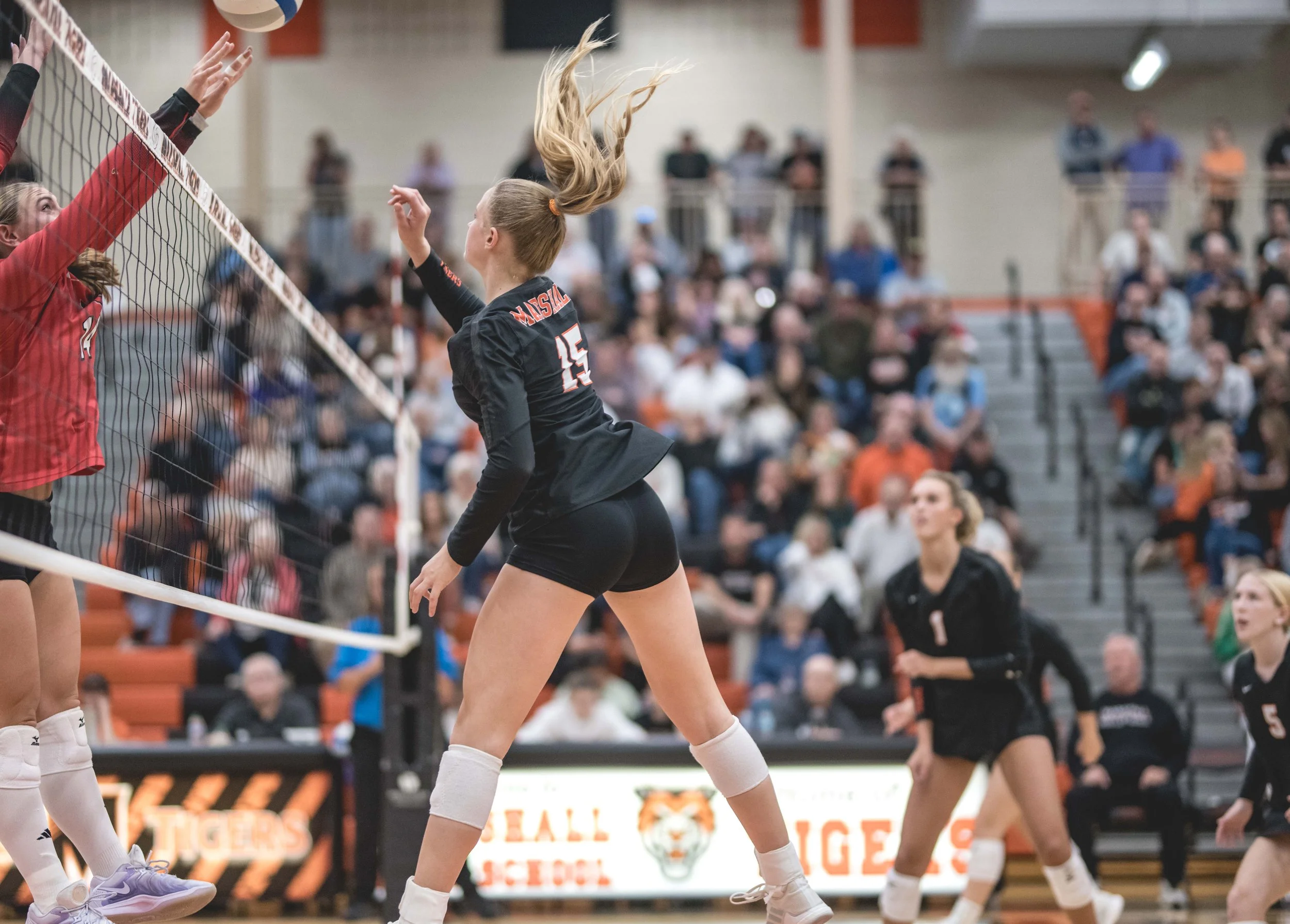 Tigers vs Alex (861).JPG