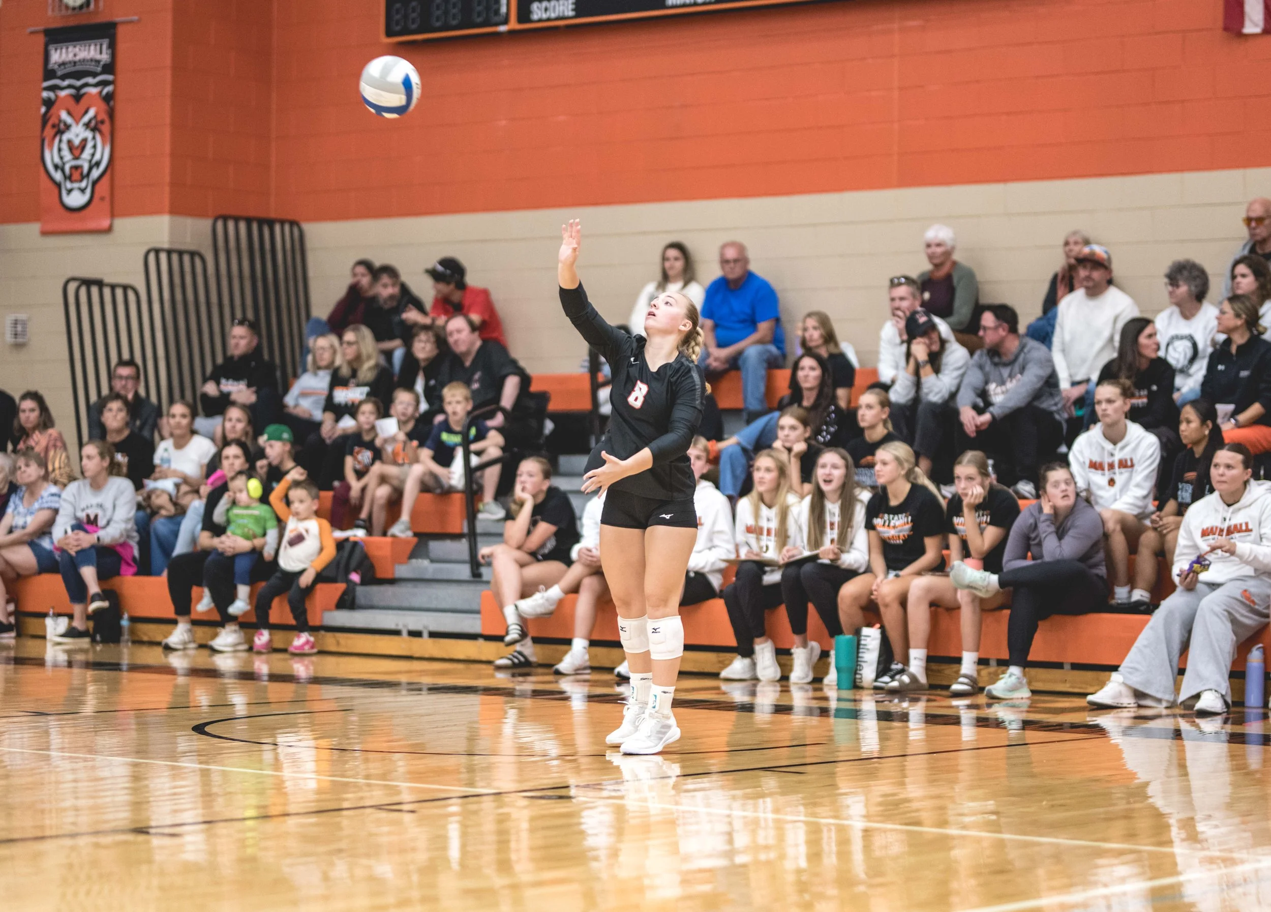 Tigers vs Alex (864).JPG