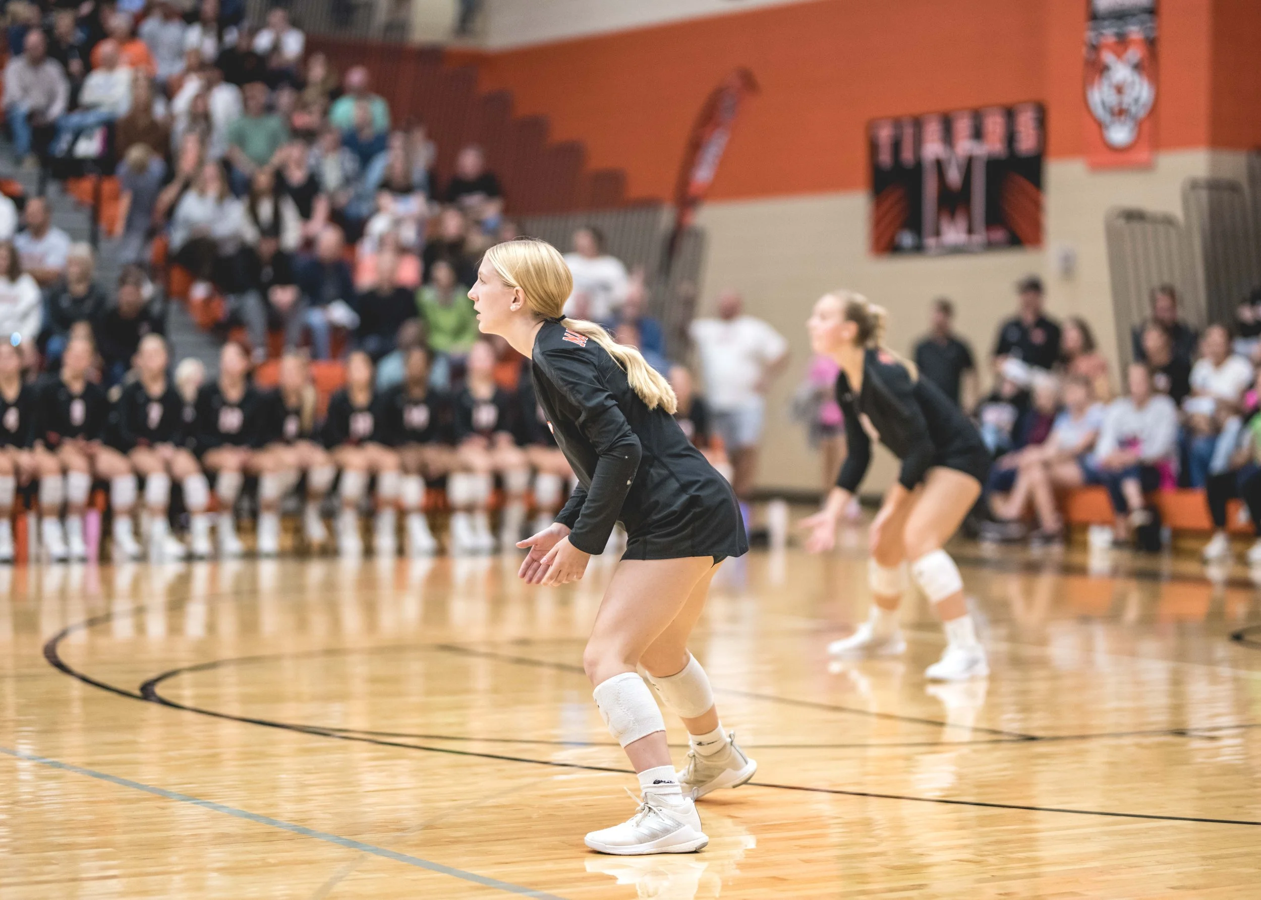 Tigers vs Alex (865).JPG