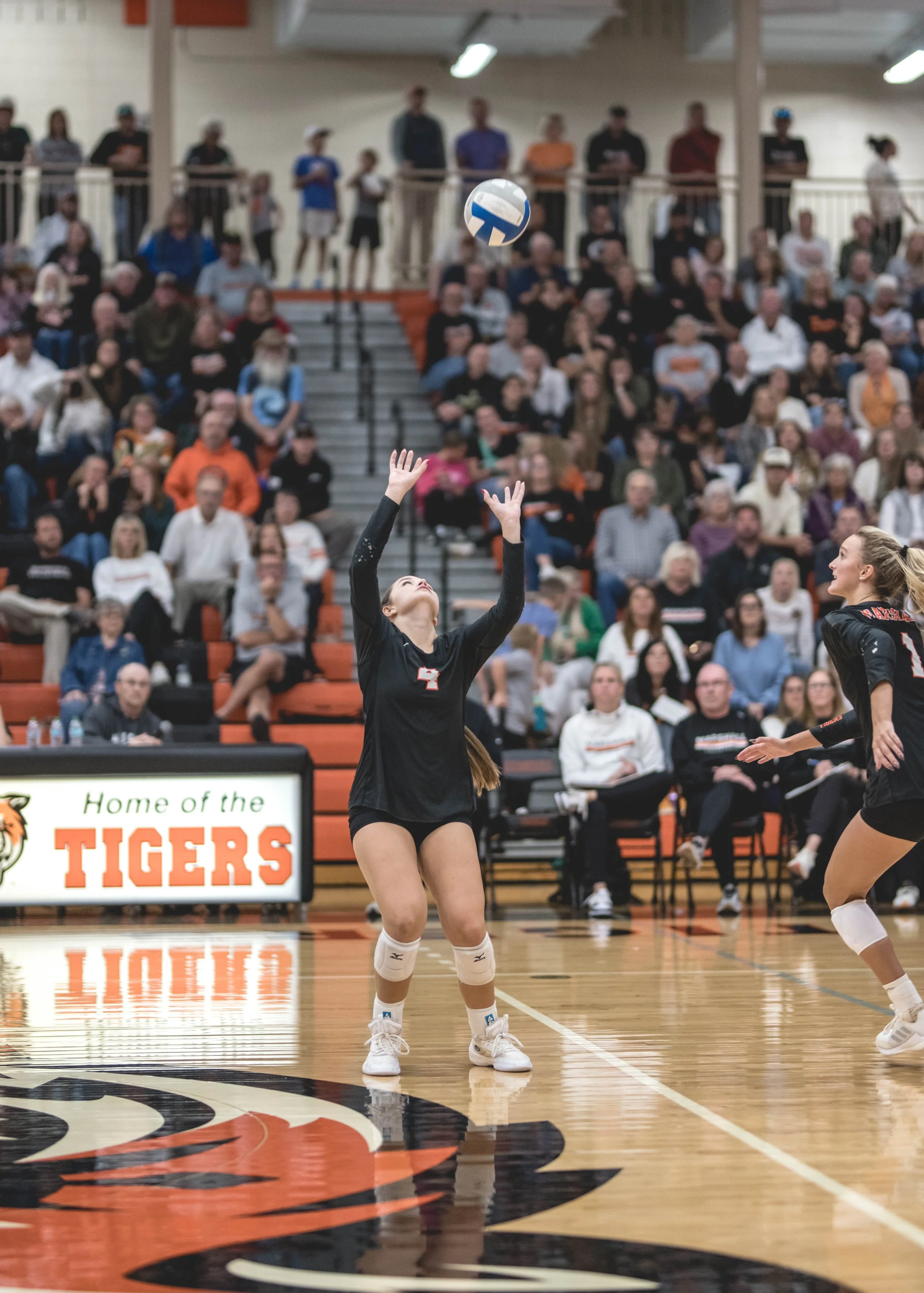 Tigers vs Alex (876).JPG