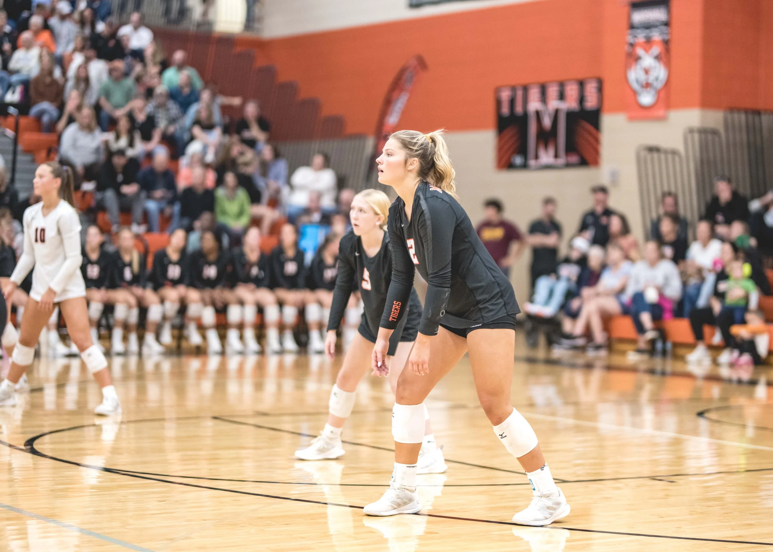 Tigers vs Alex (882).JPG