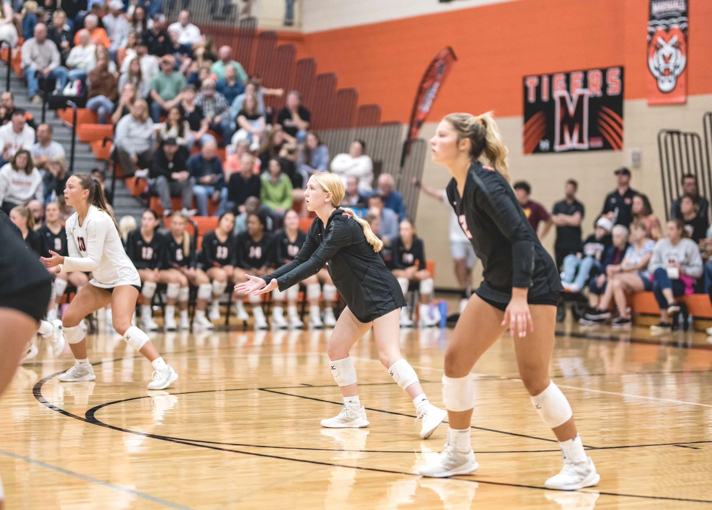 Tigers vs Alex (883).JPG