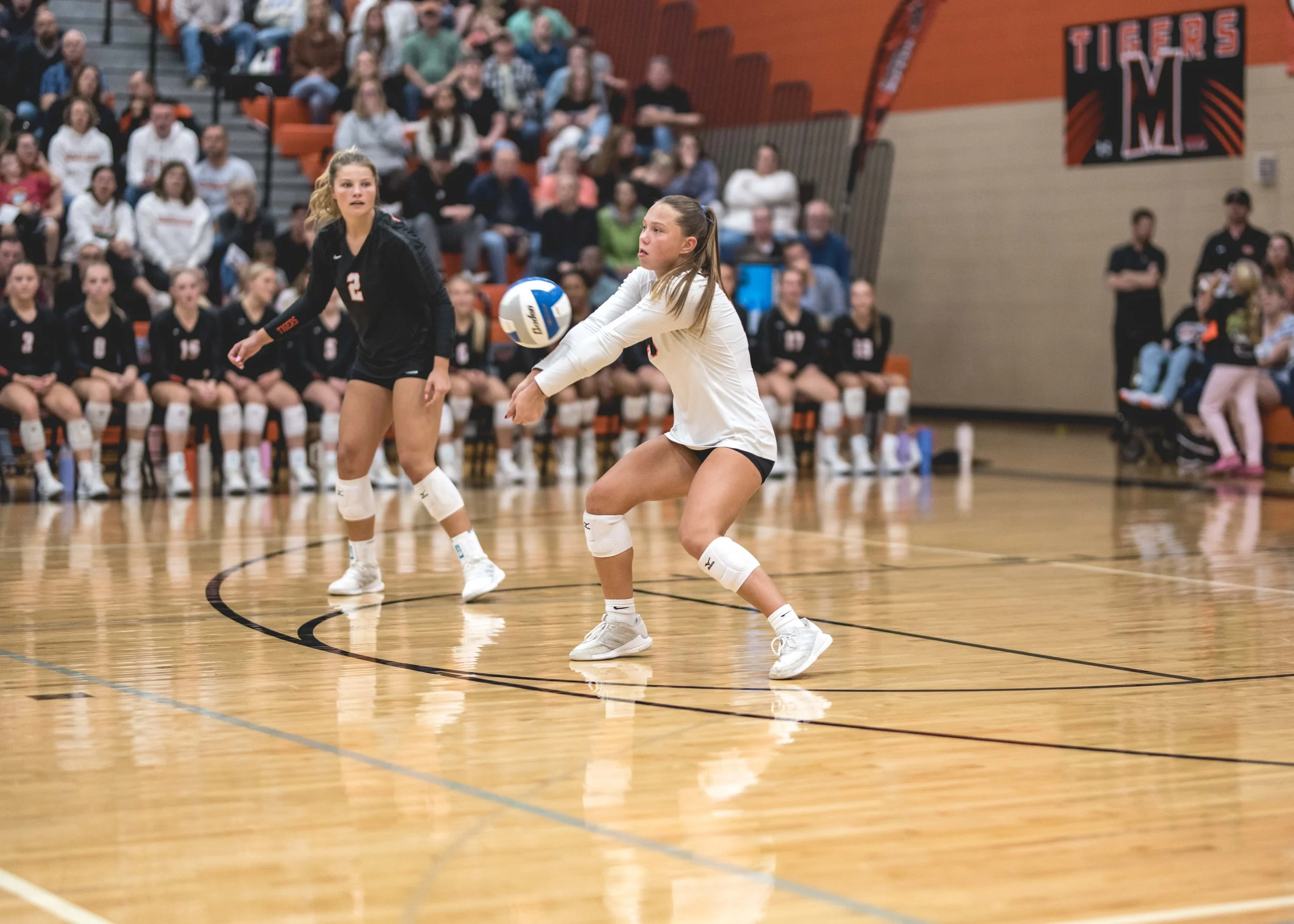 Tigers vs Alex (889).JPG