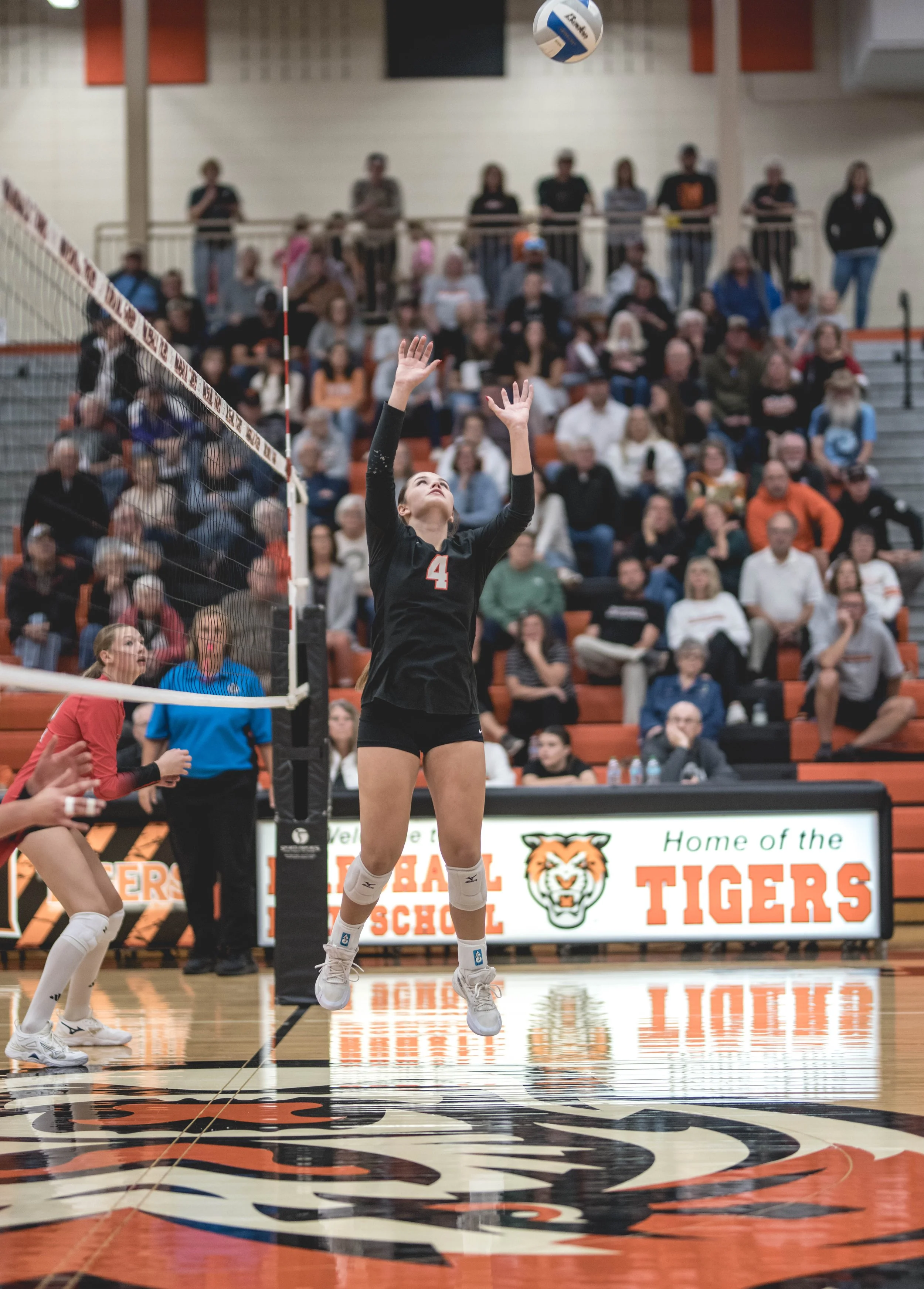 Tigers vs Alex (890).JPG