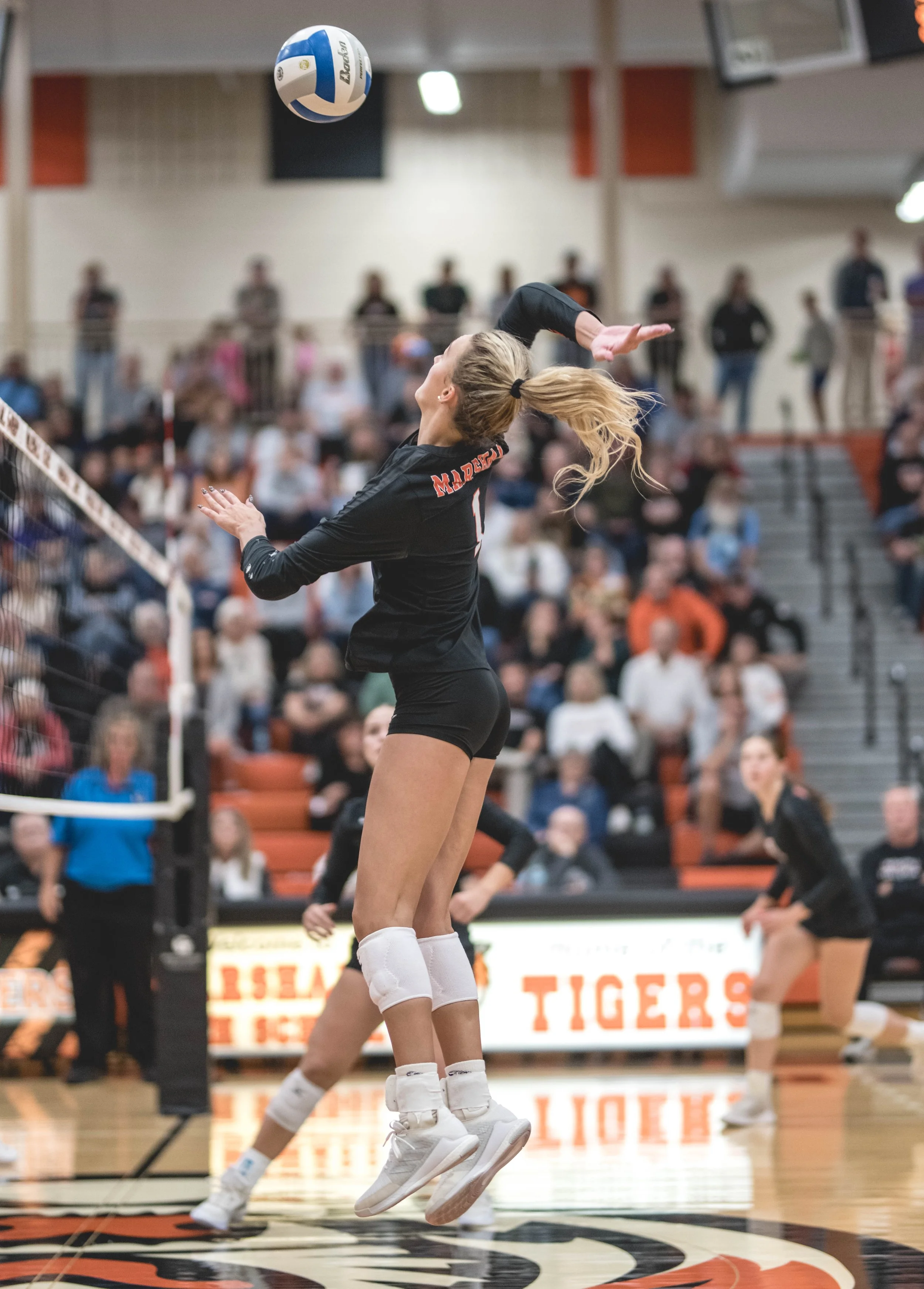 Tigers vs Alex (891).JPG