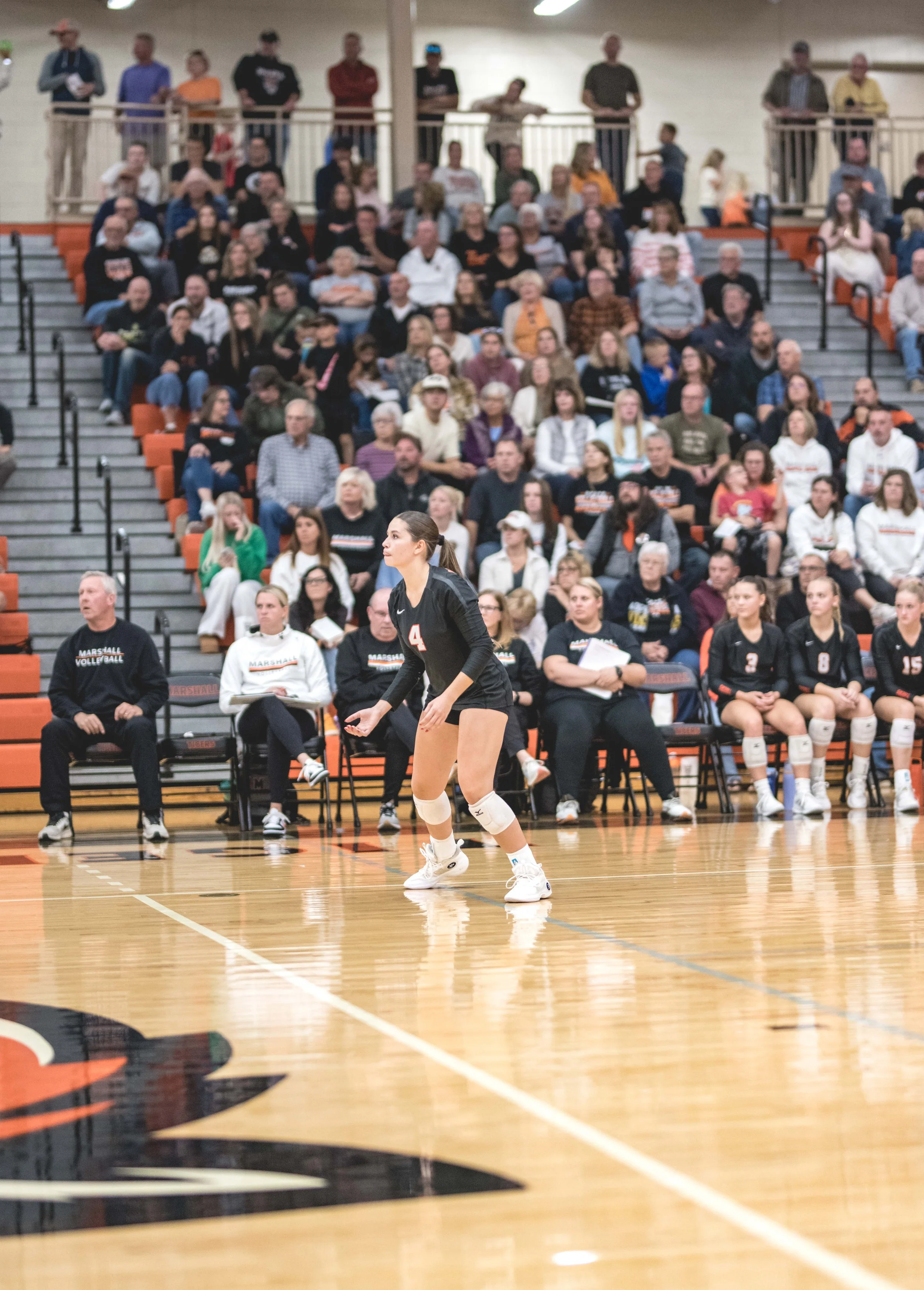 Tigers vs Alex (893).JPG