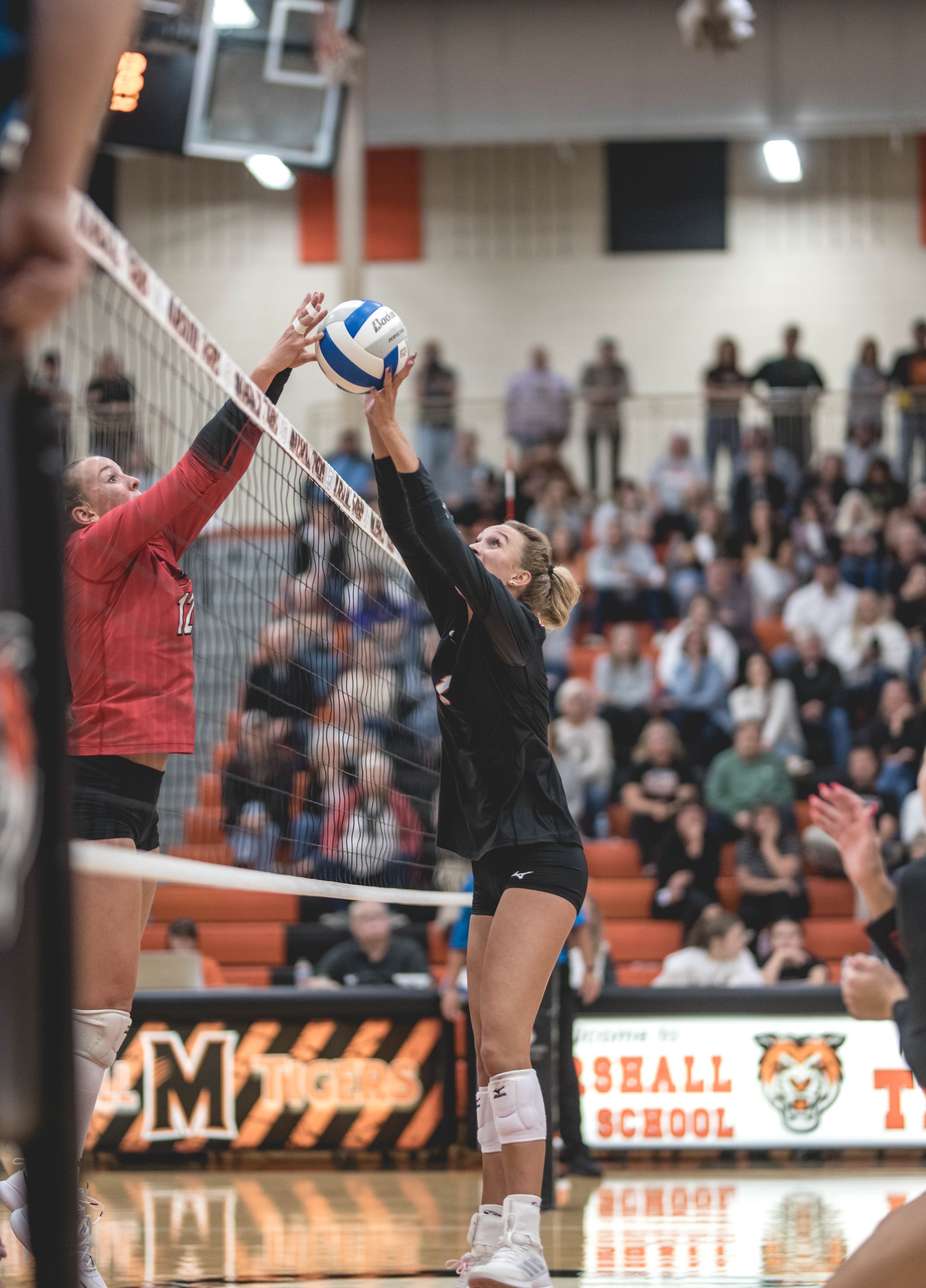 Tigers vs Alex (903).JPG