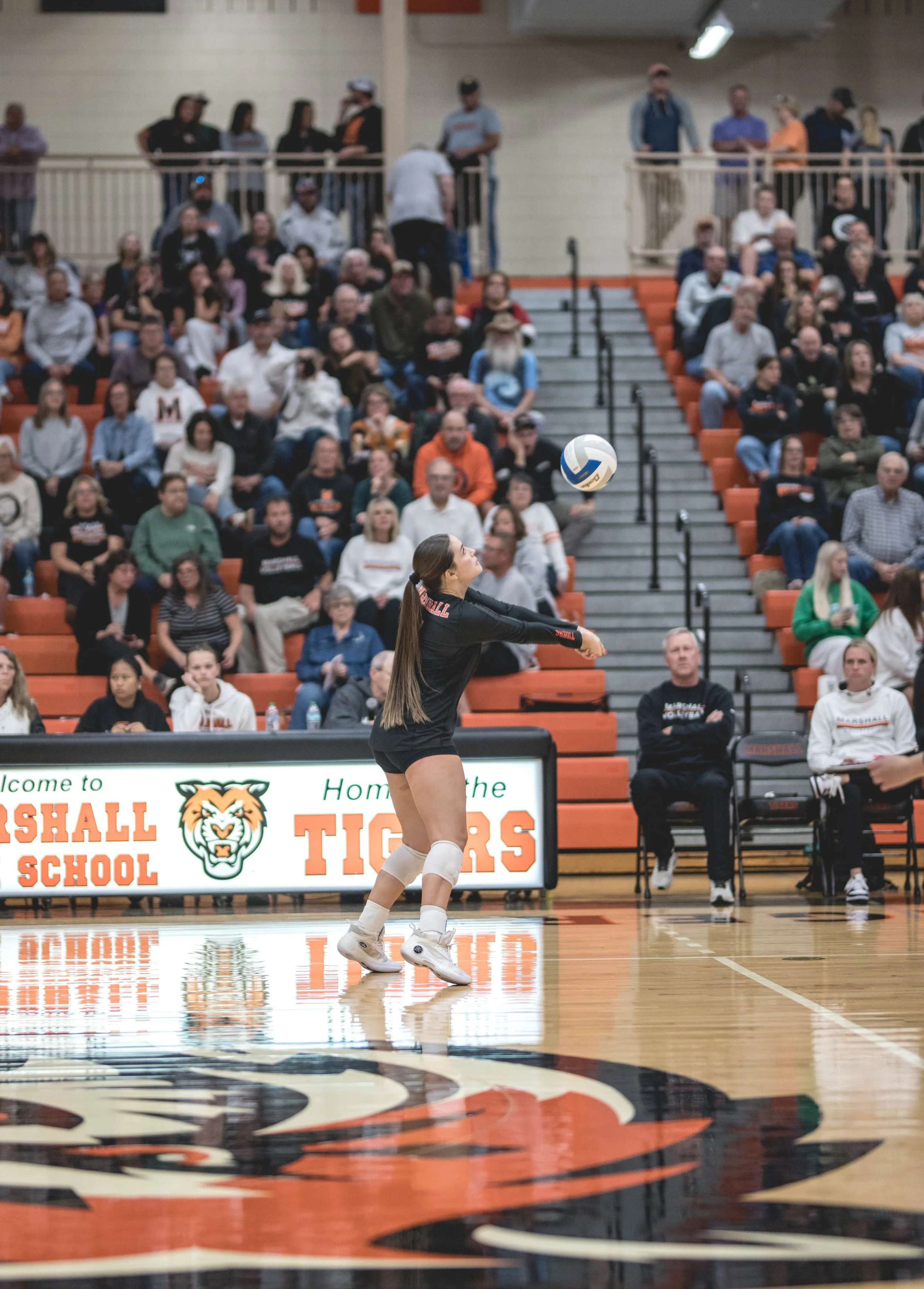 Tigers vs Alex (906).JPG