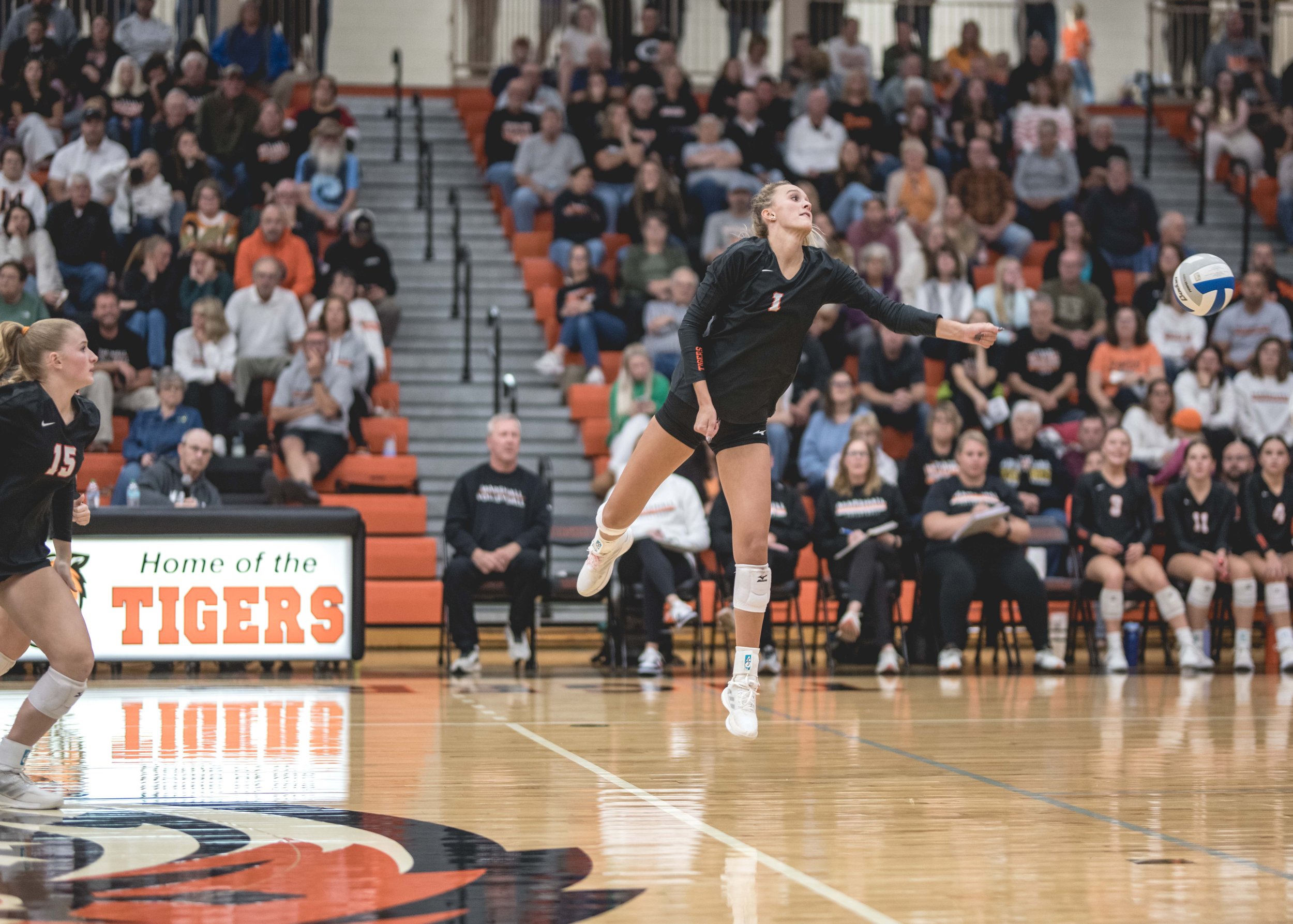 Tigers vs Alex (918).JPG