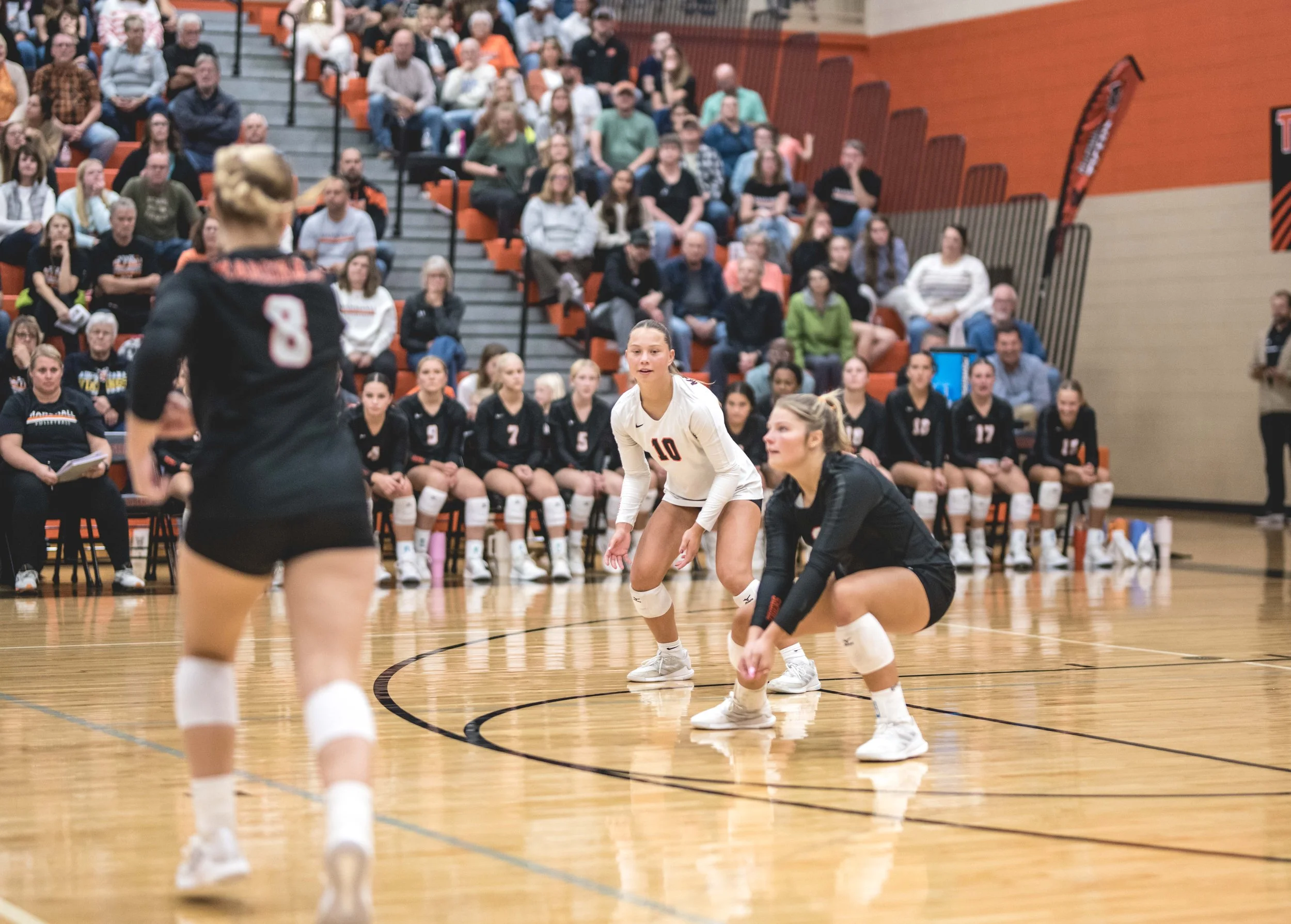 Tigers vs Alex (919).JPG