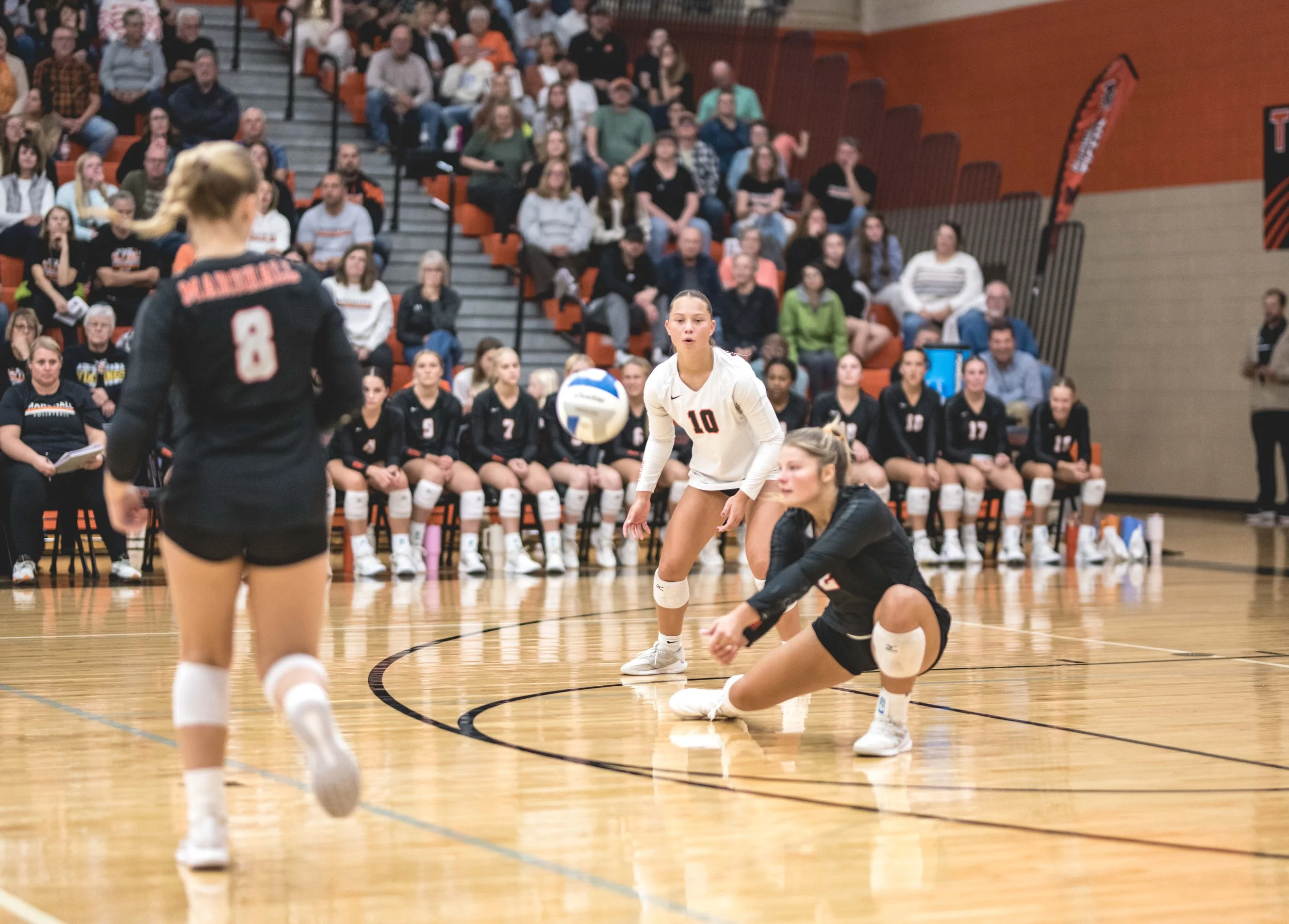 Tigers vs Alex (920).JPG