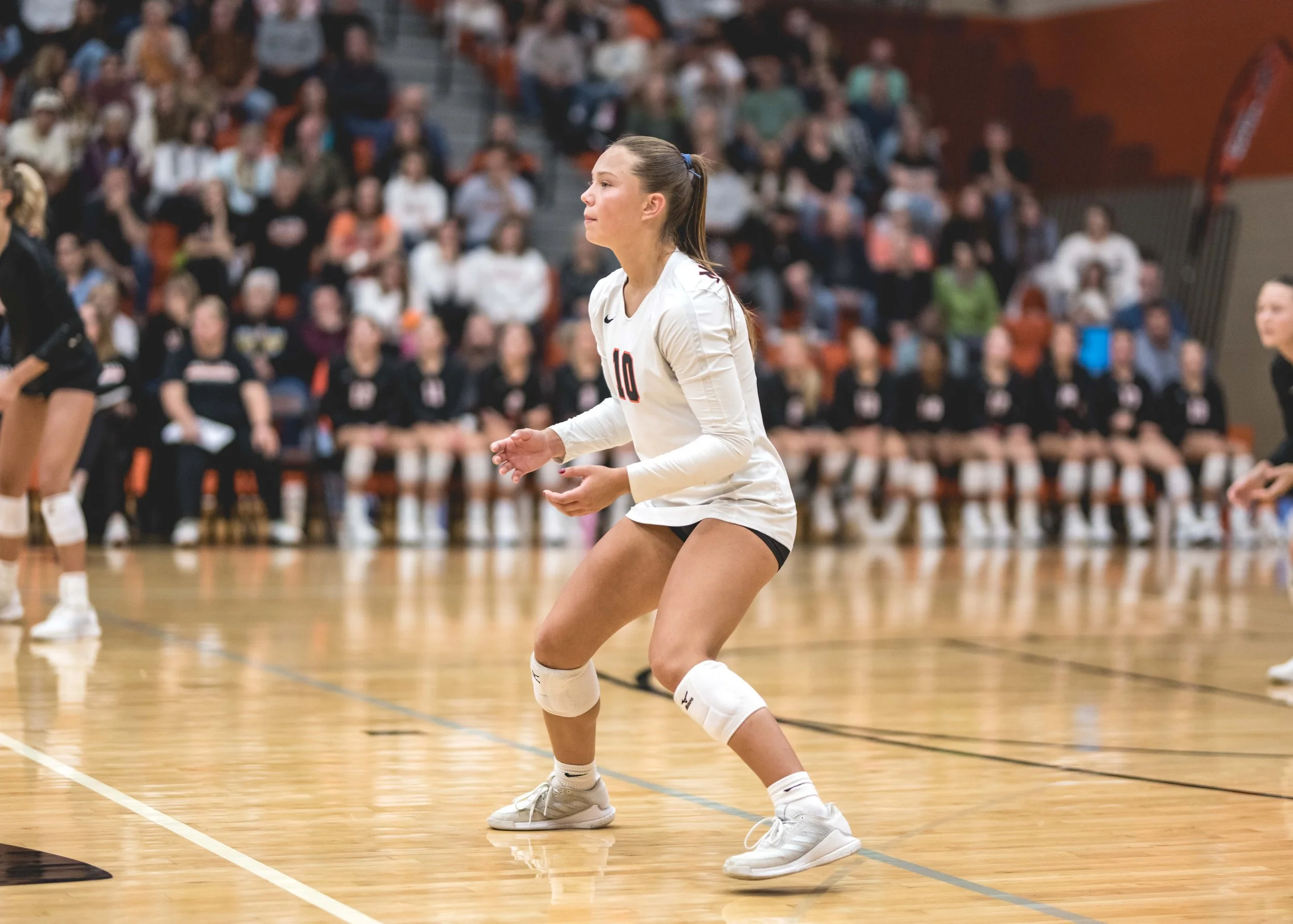 Tigers vs Alex (924).JPG