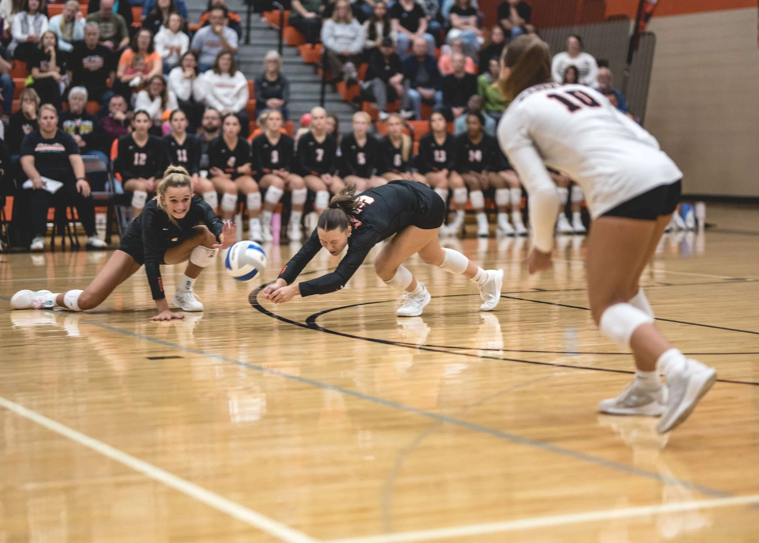 Tigers vs Alex (925).JPG