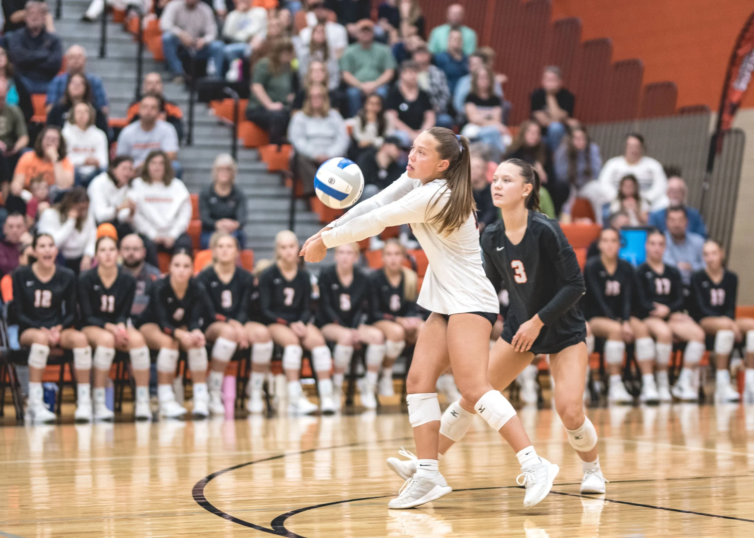 Tigers vs Alex (927).JPG