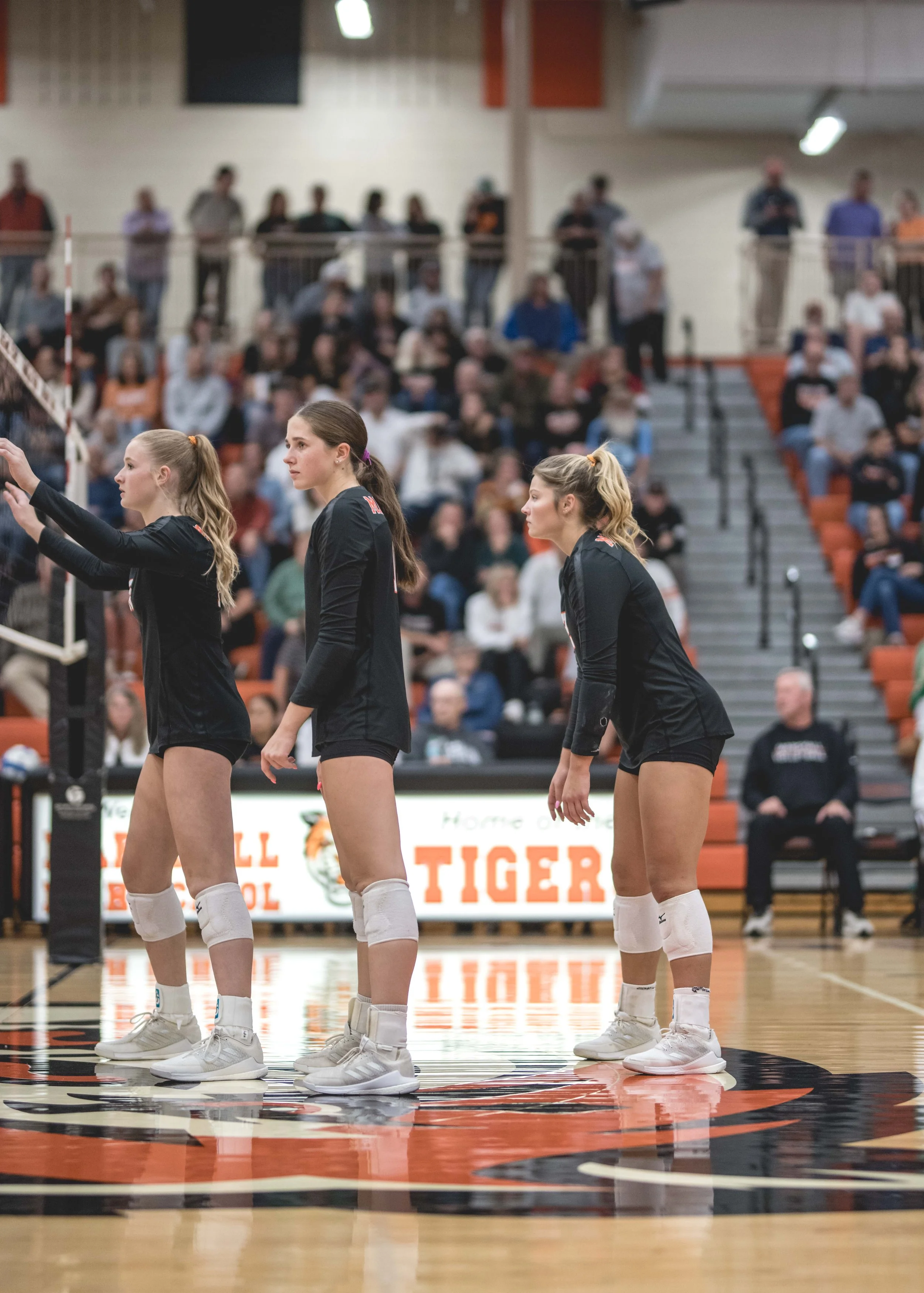 Tigers vs Alex (932).JPG