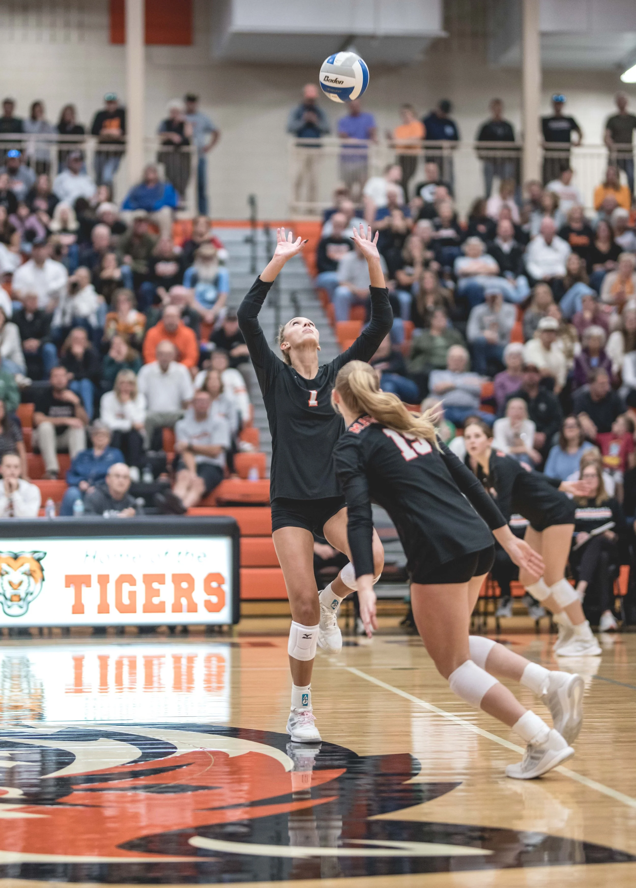 Tigers vs Alex (937).JPG