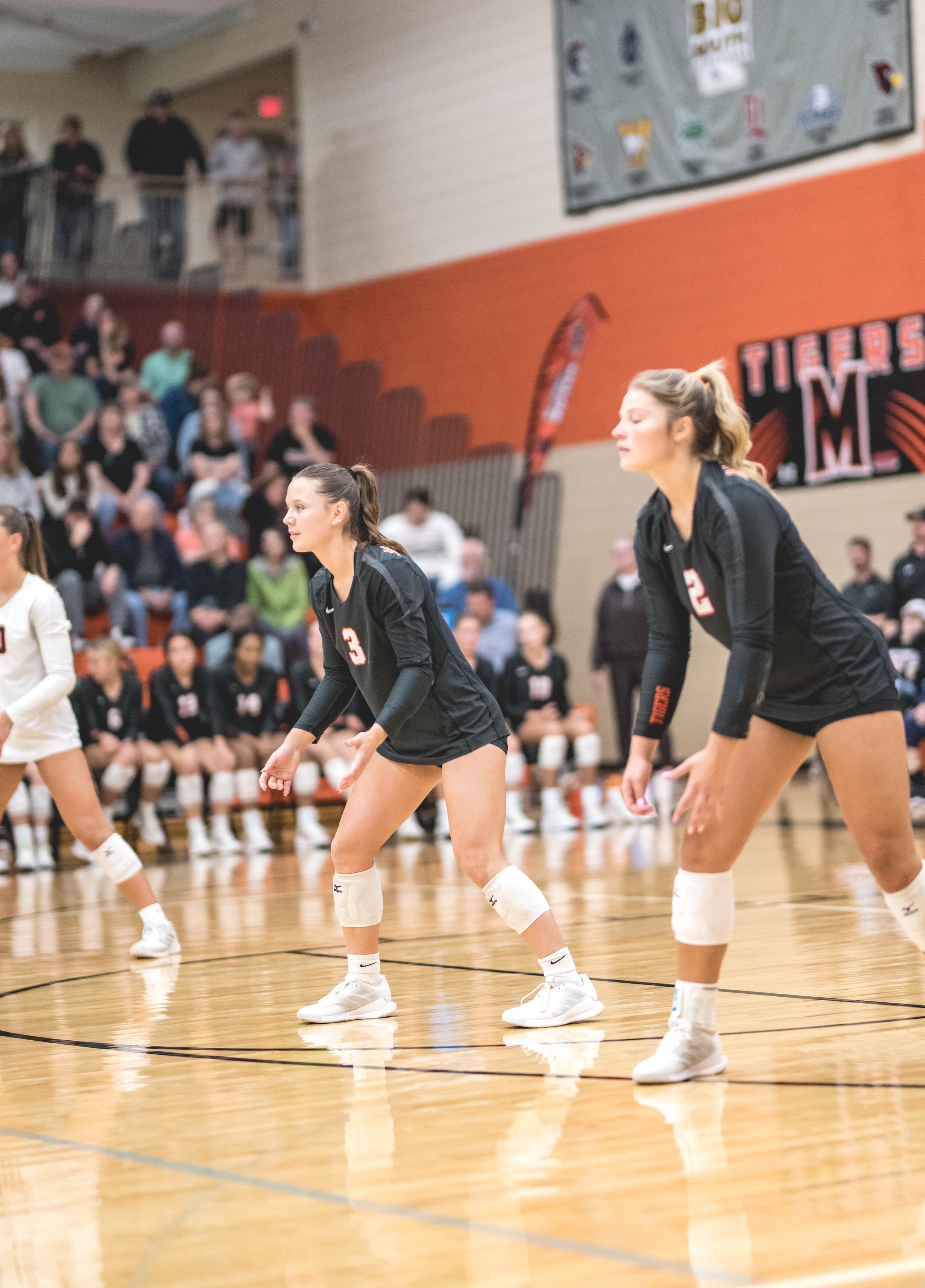 Tigers vs Alex (939).JPG