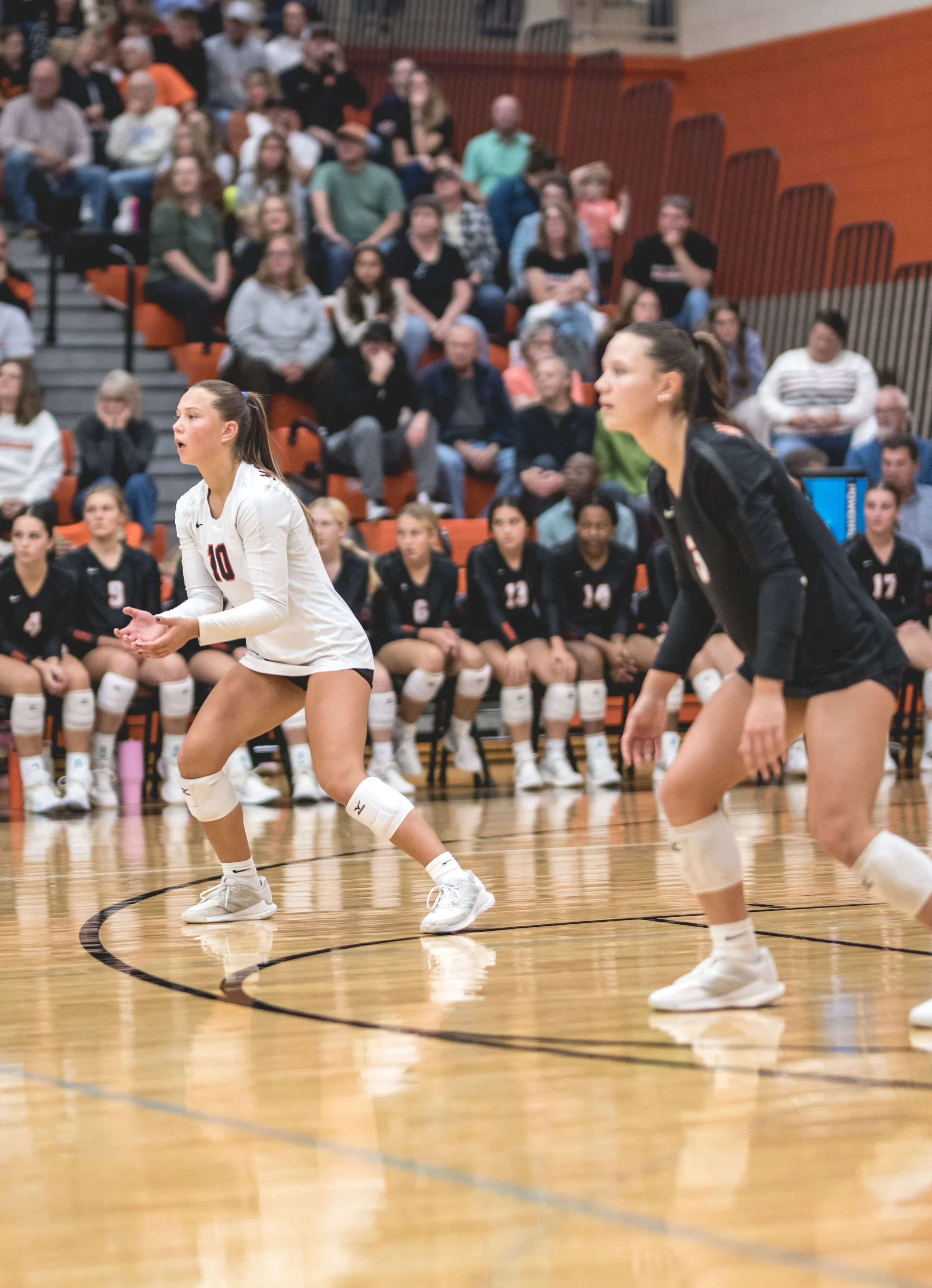 Tigers vs Alex (941).JPG