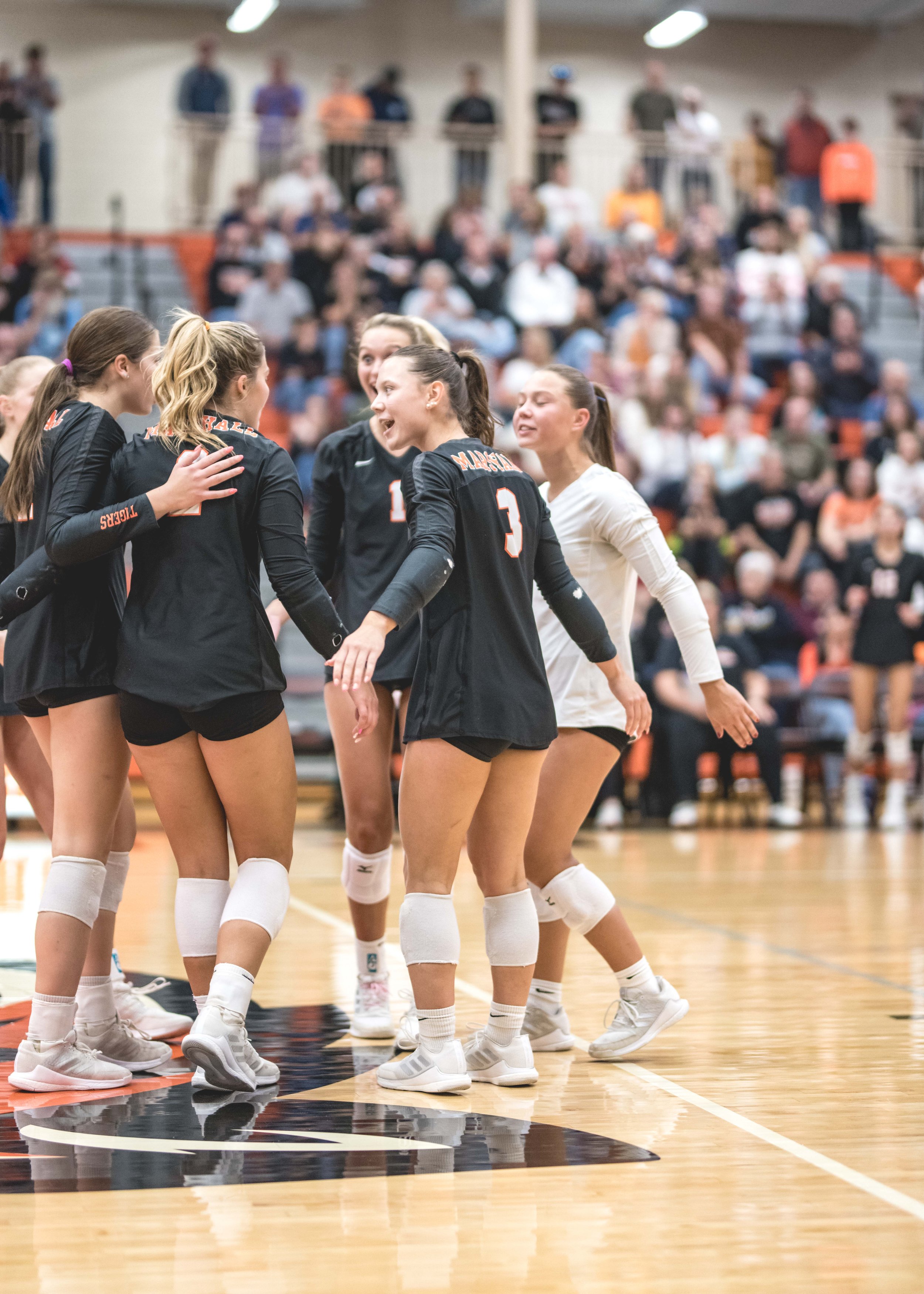 Tigers vs Alex (945).JPG