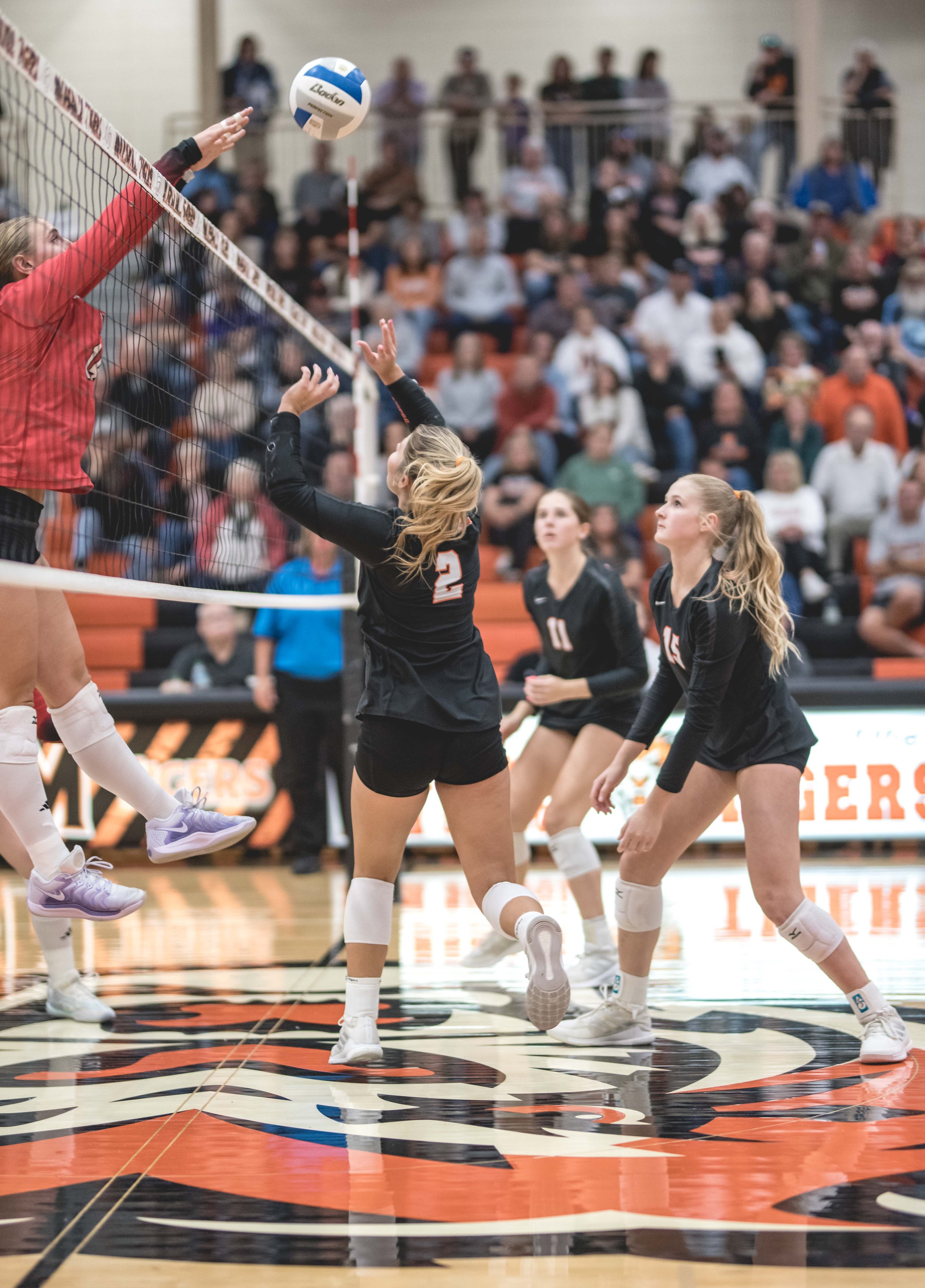 Tigers vs Alex (947).JPG