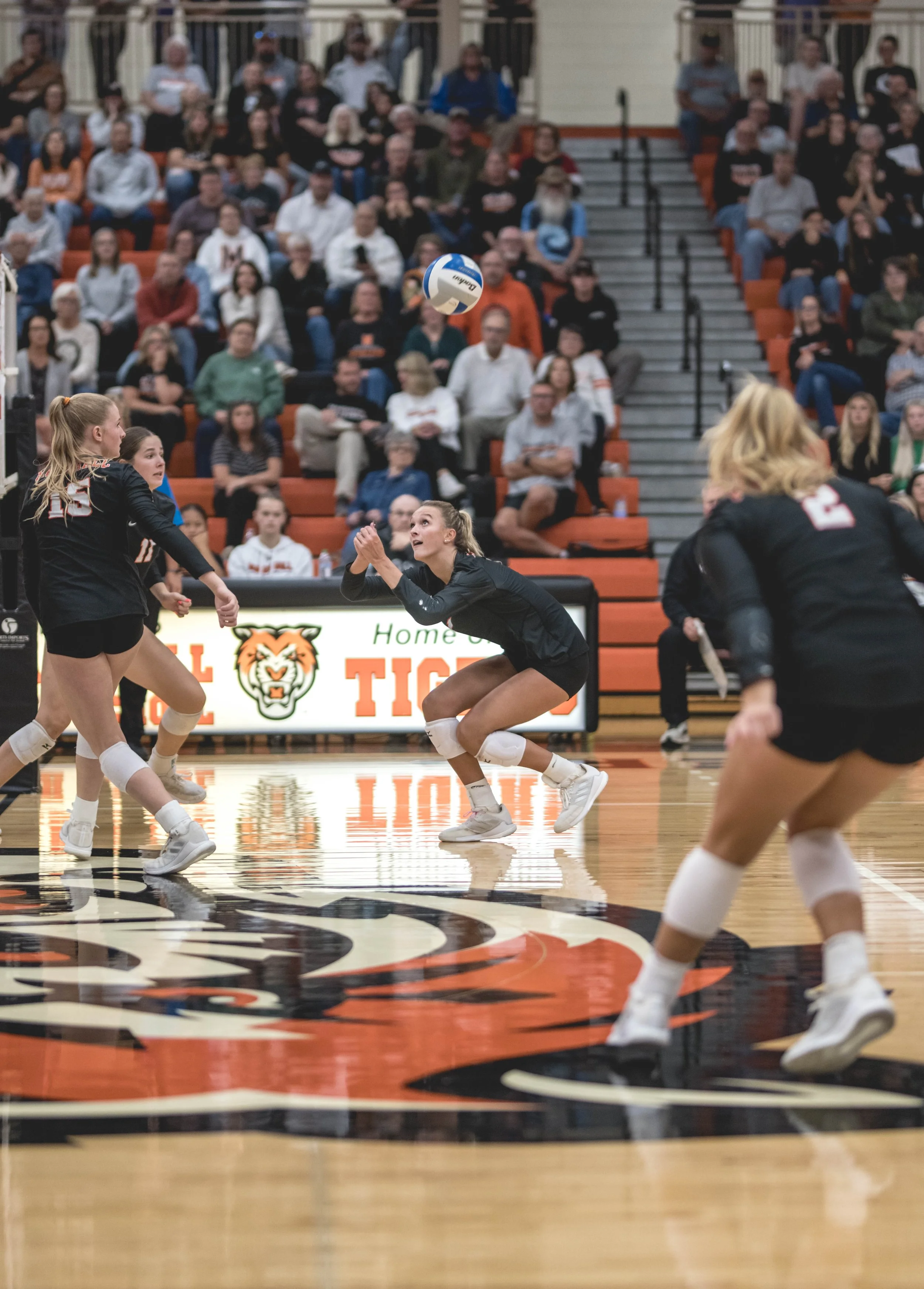 Tigers vs Alex (949).JPG