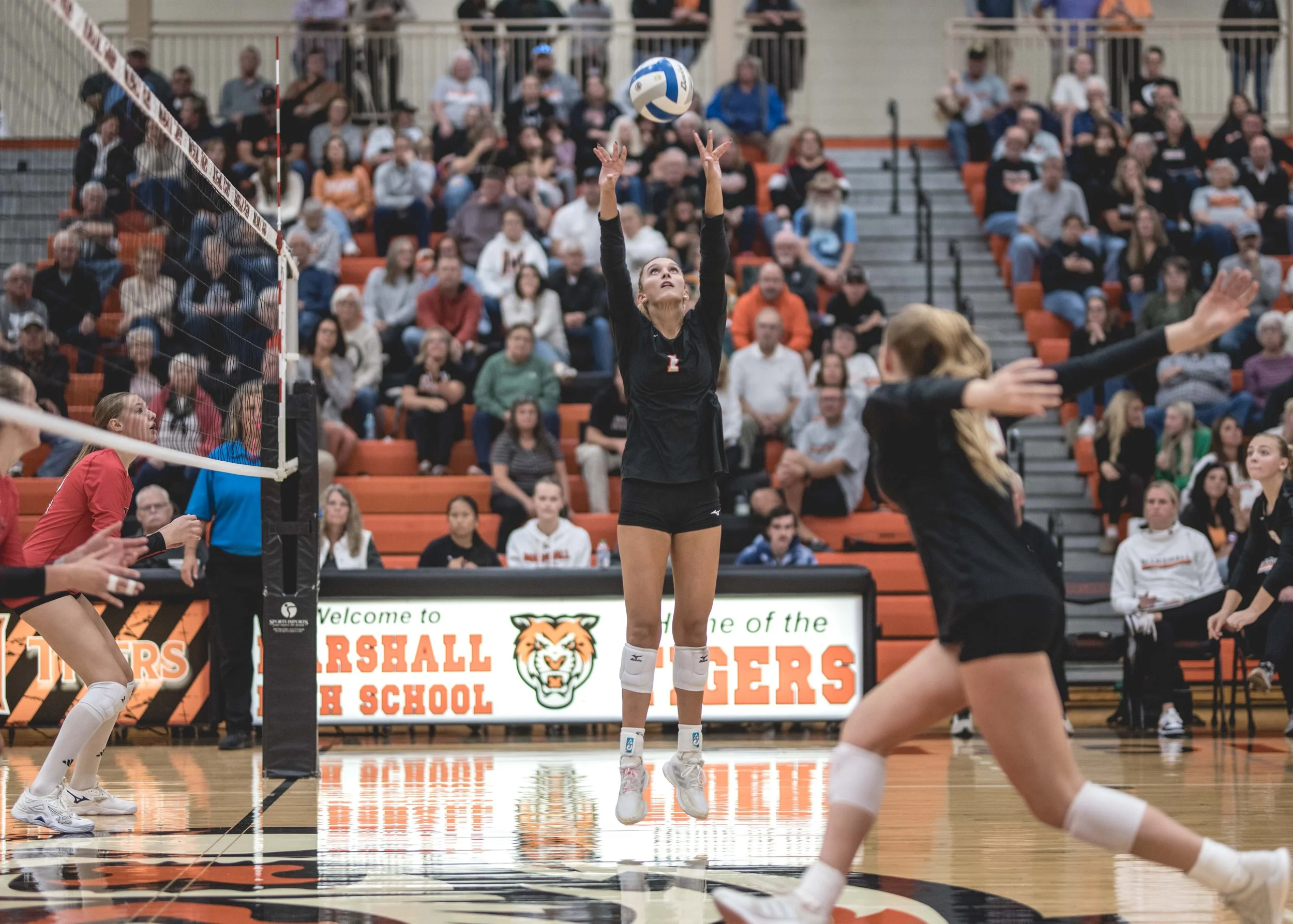 Tigers vs Alex (968).JPG