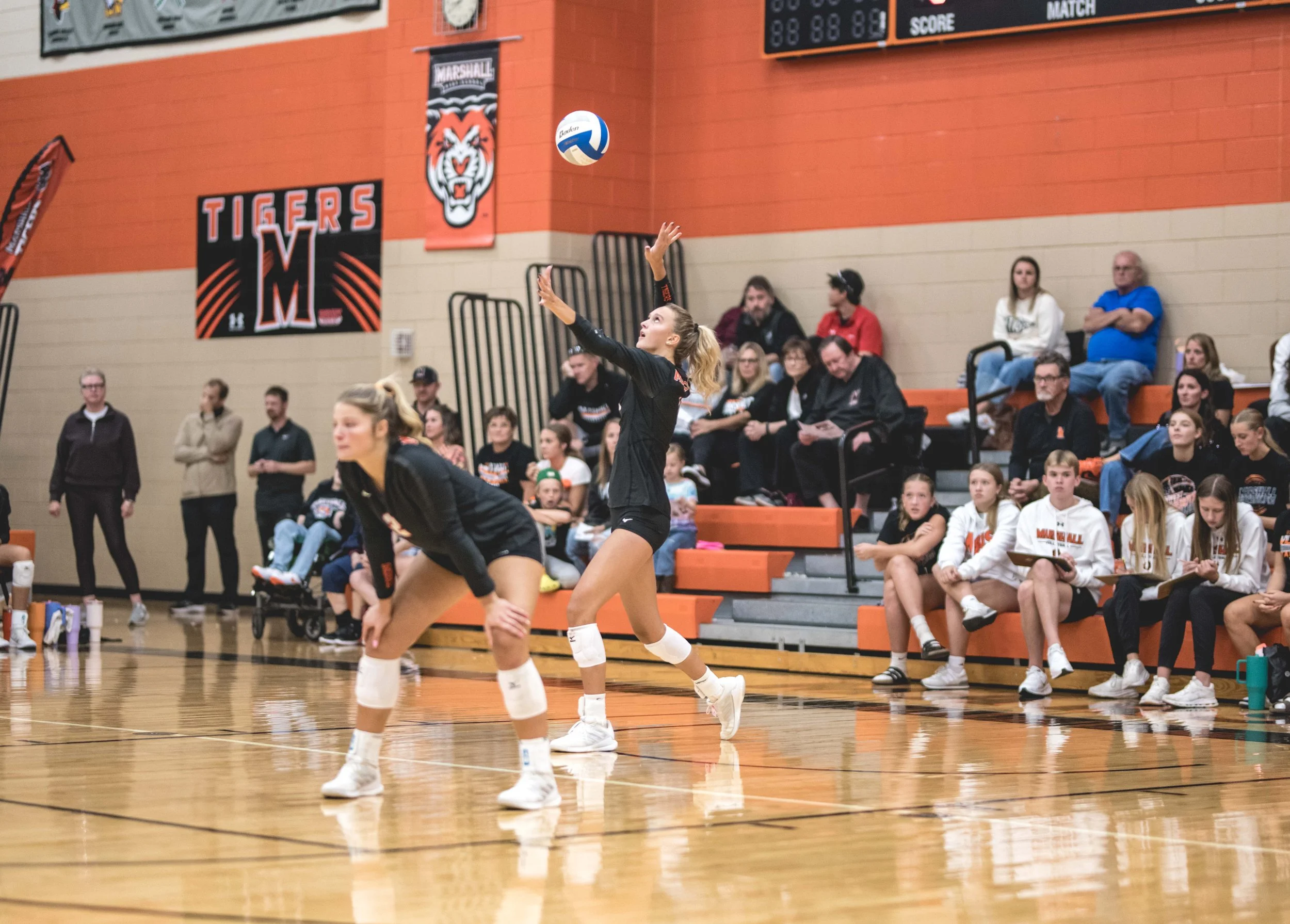 Tigers vs Alex (971).JPG