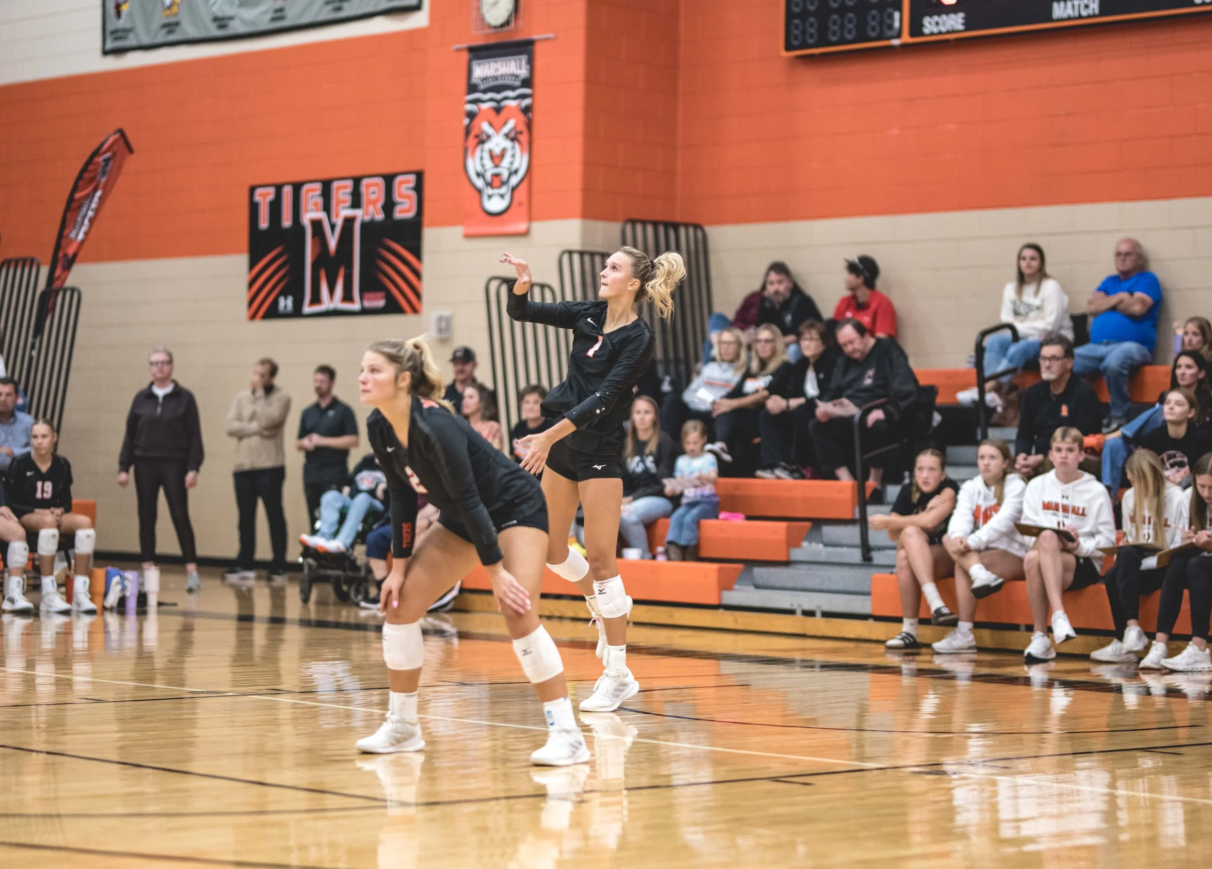 Tigers vs Alex (973).JPG