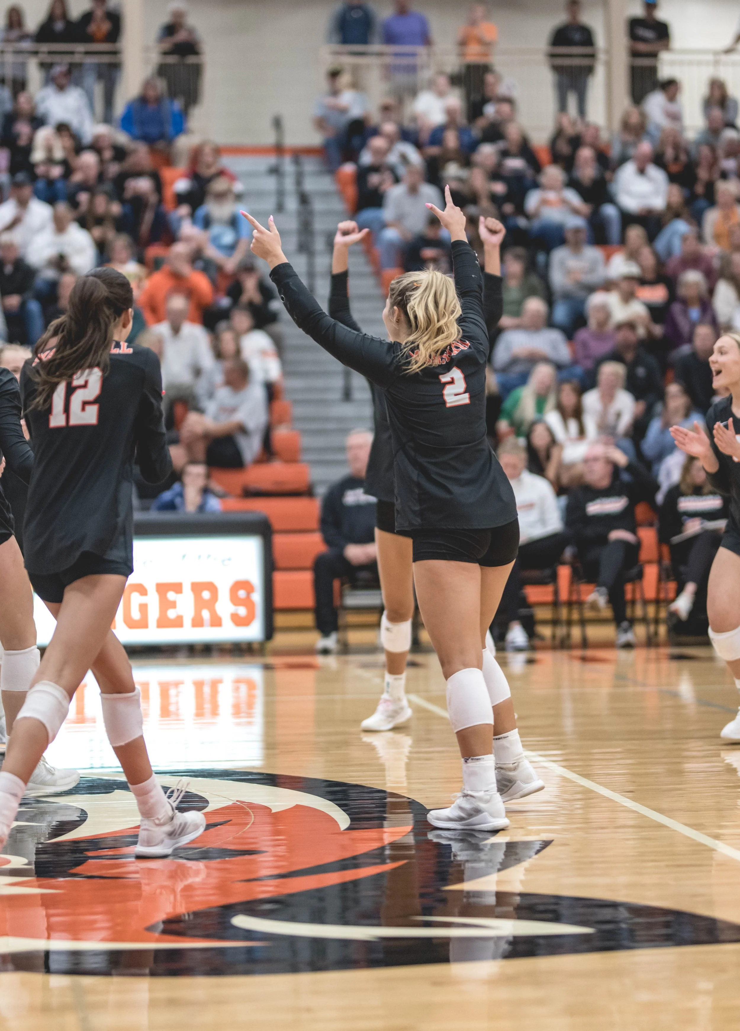 Tigers vs Alex (981).JPG