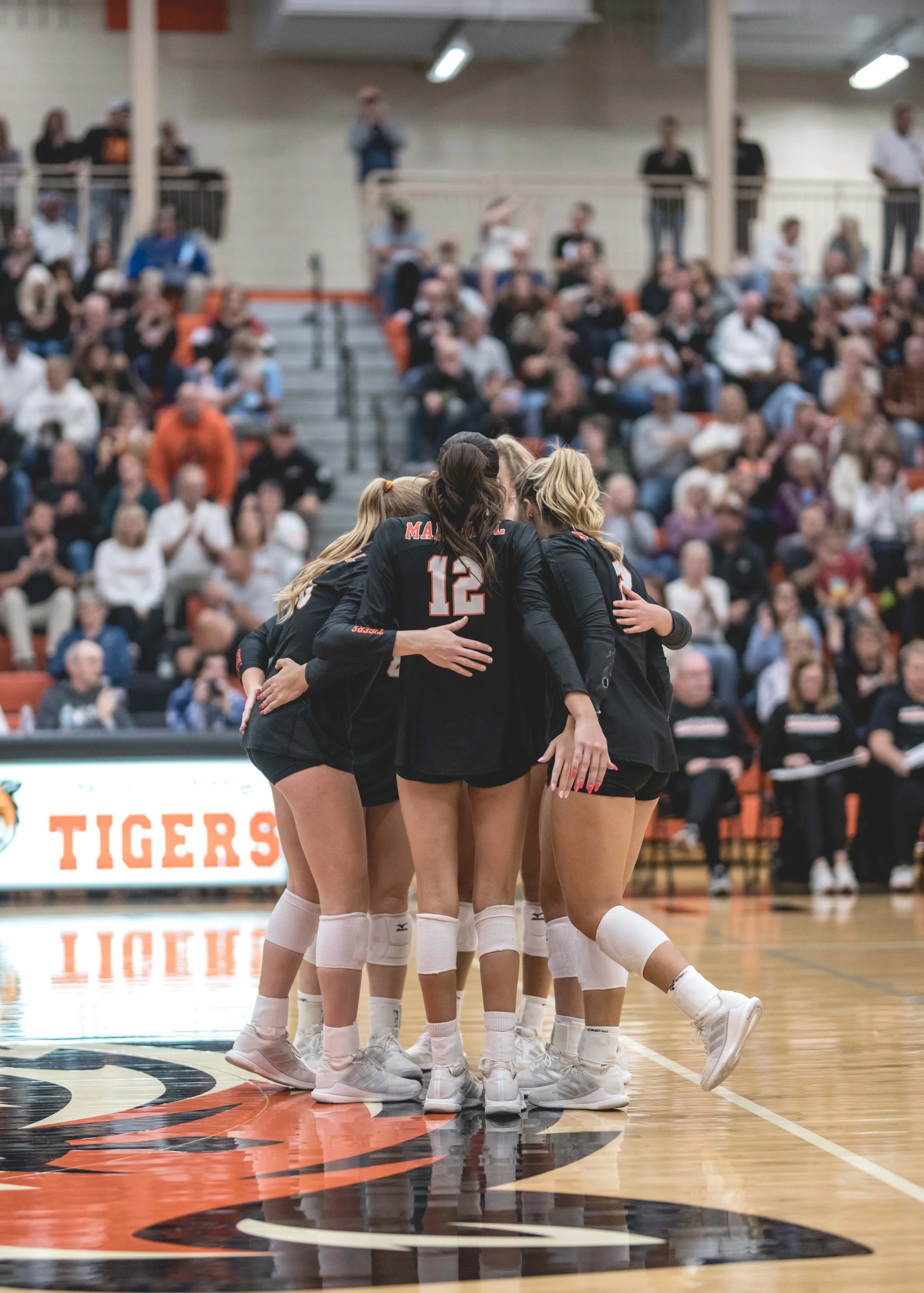 Tigers vs Alex (992).JPG