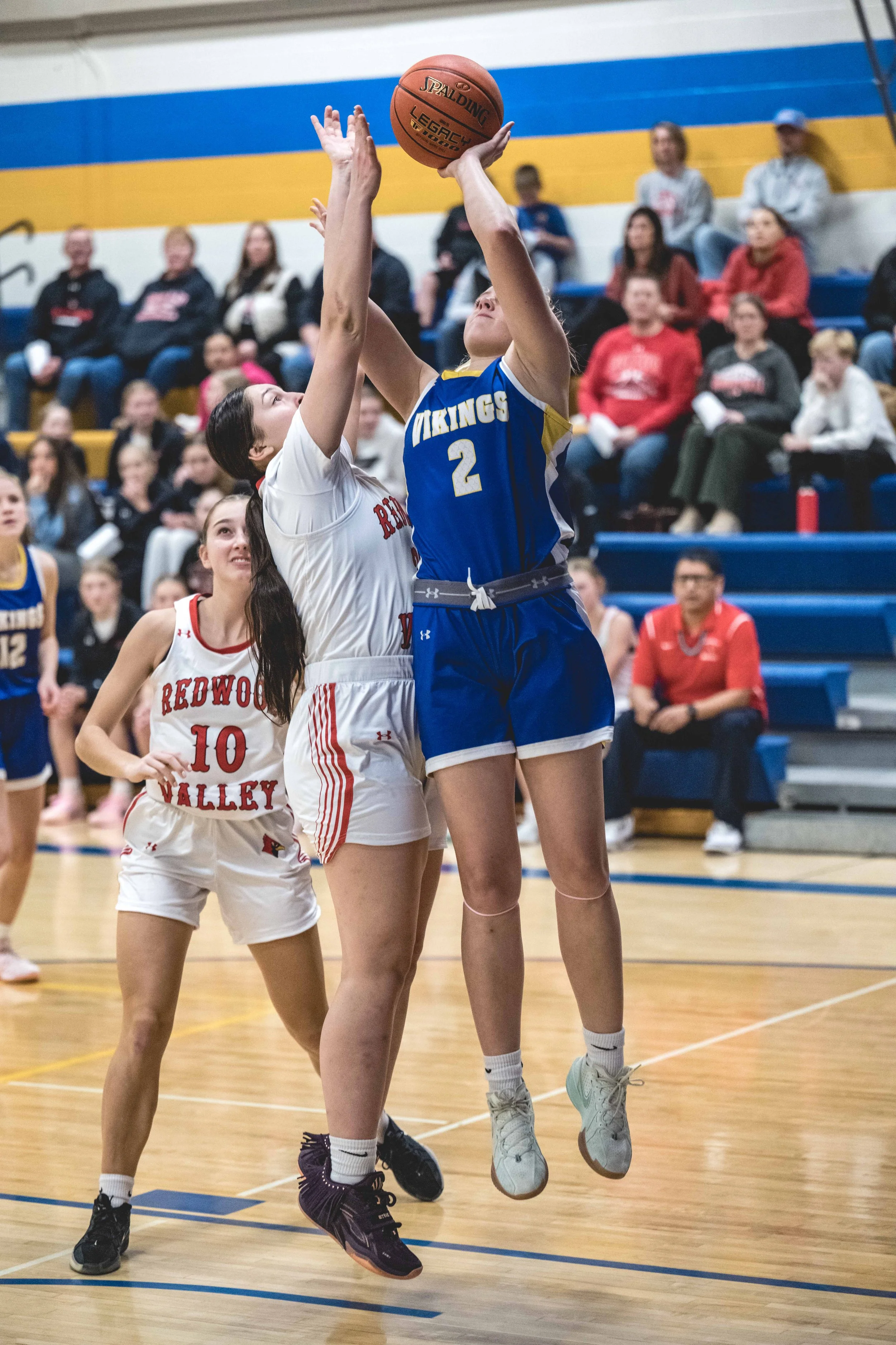 girls bball banner 2526 dark (10 of 195).JPG