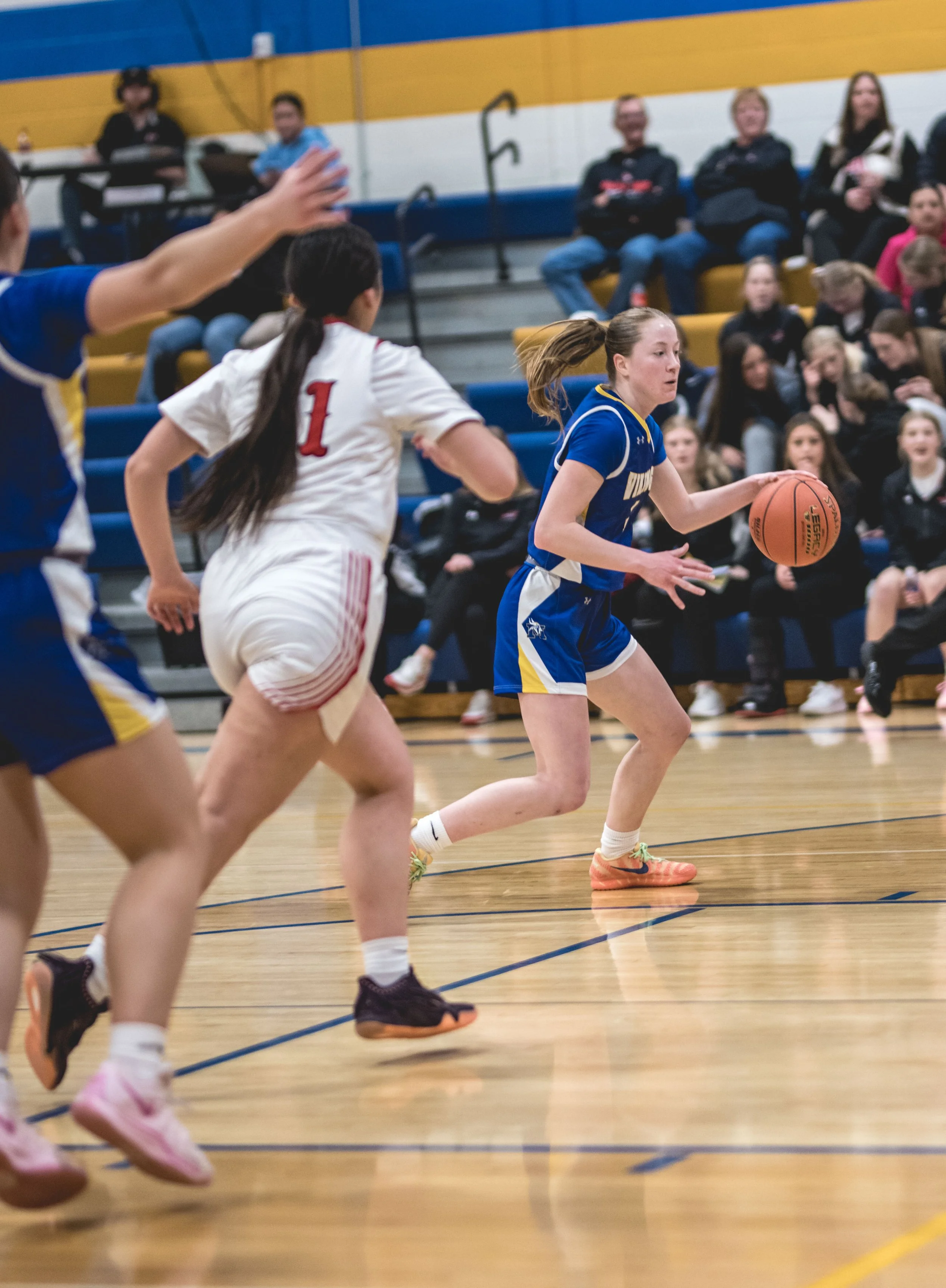 girls bball banner 2526 dark (95 of 195).JPG
