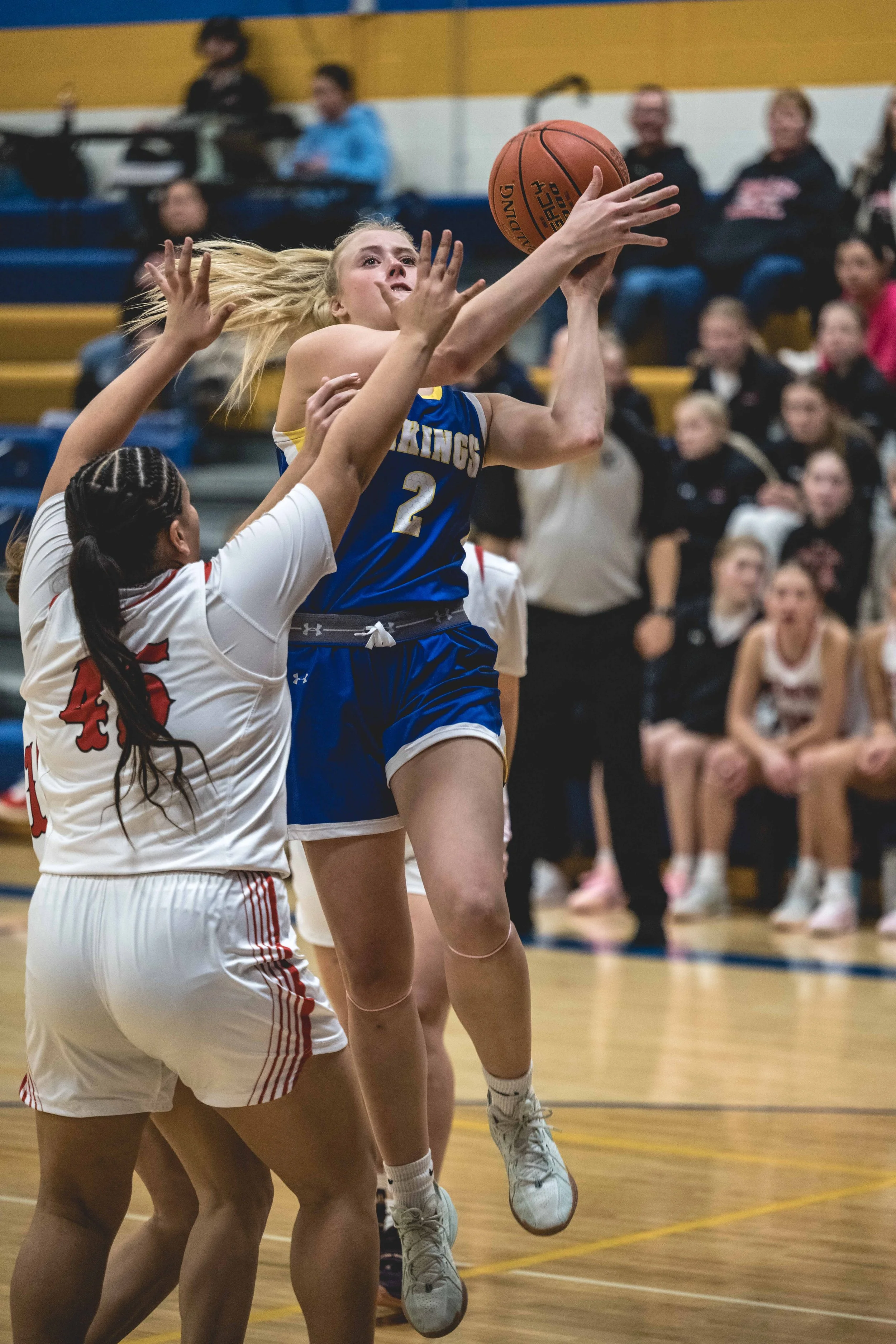 girls bball banner 2526 dark (14 of 195).JPG