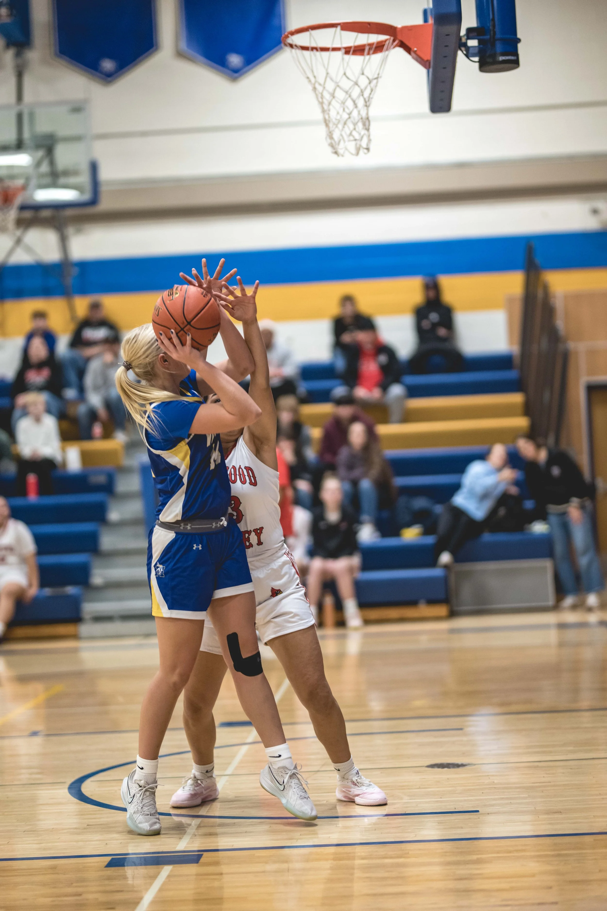 girls bball banner 2526 dark (74 of 195).JPG