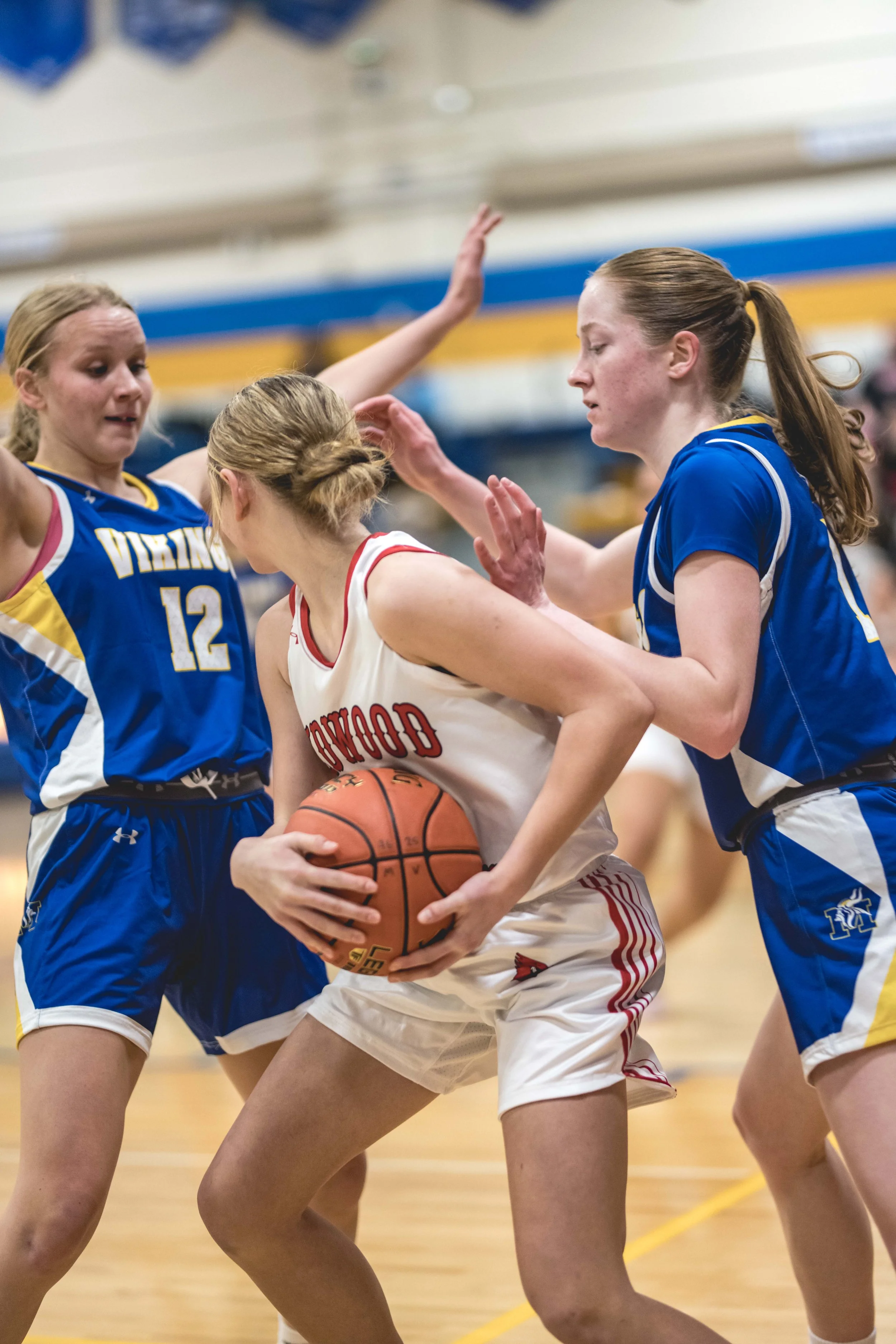 girls bball banner 2526 dark (69 of 195).JPG