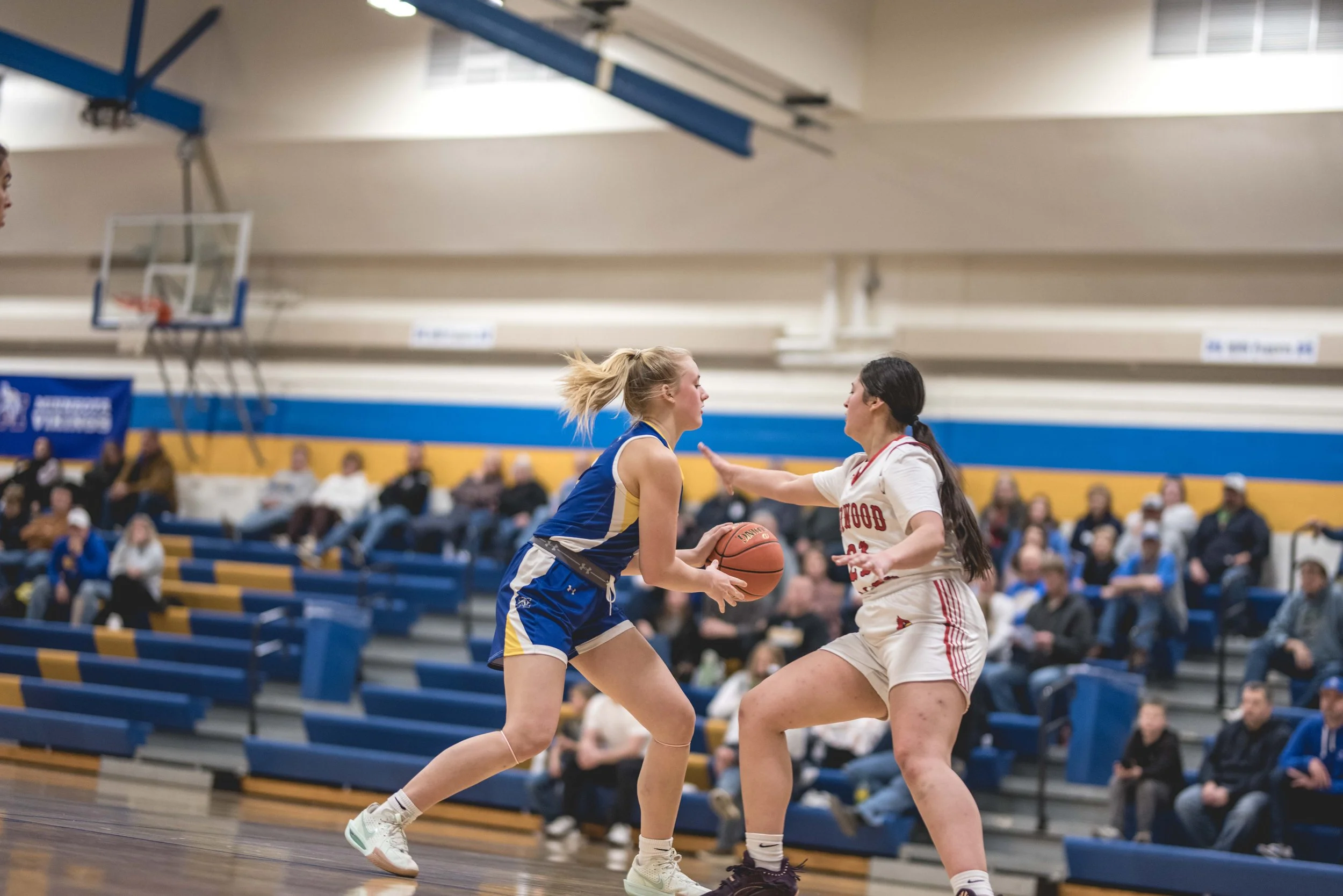 girls bball banner 2526 dark (166 of 195).JPG