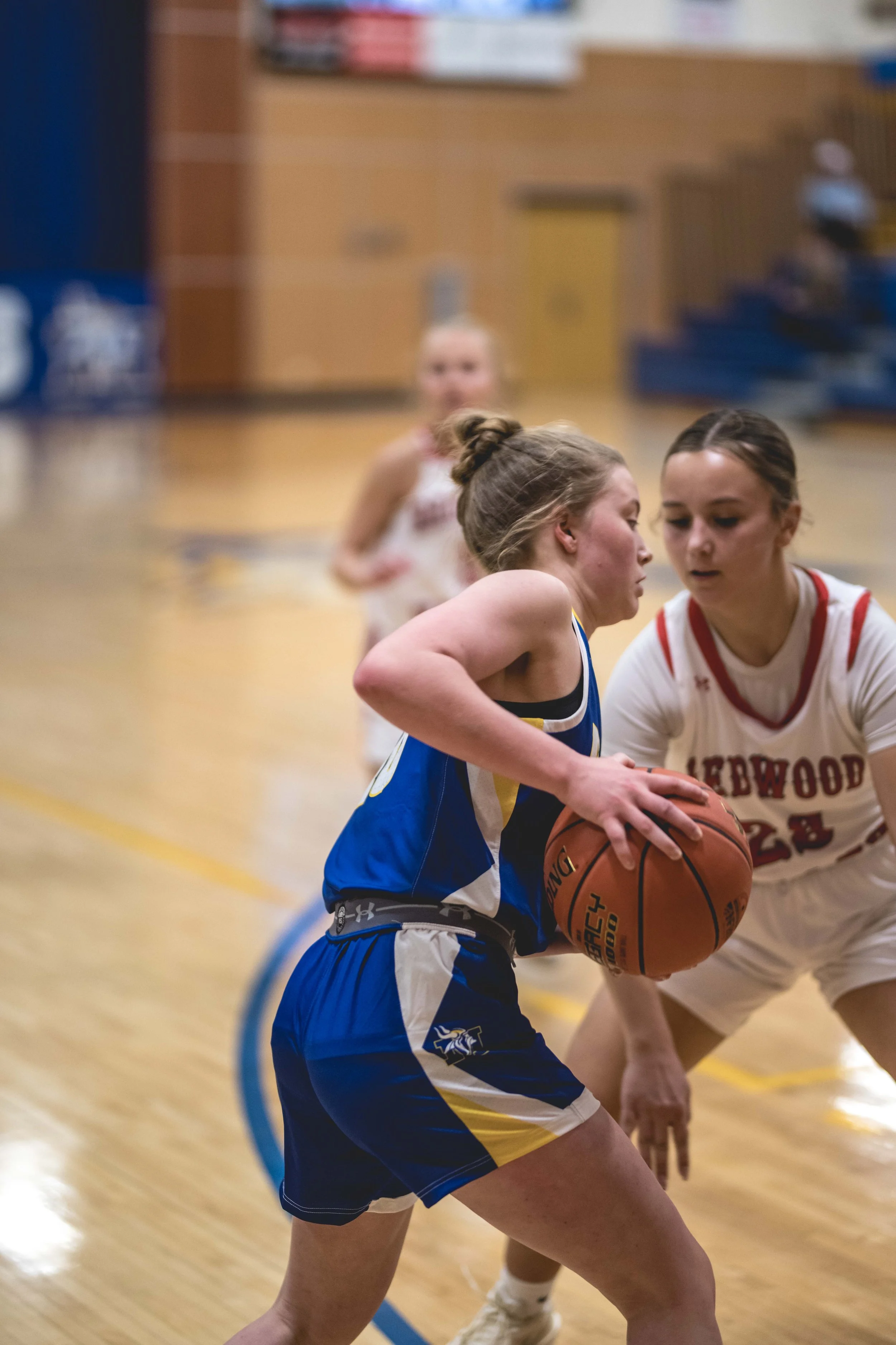 girls bball banner 2526 dark (192 of 195).JPG
