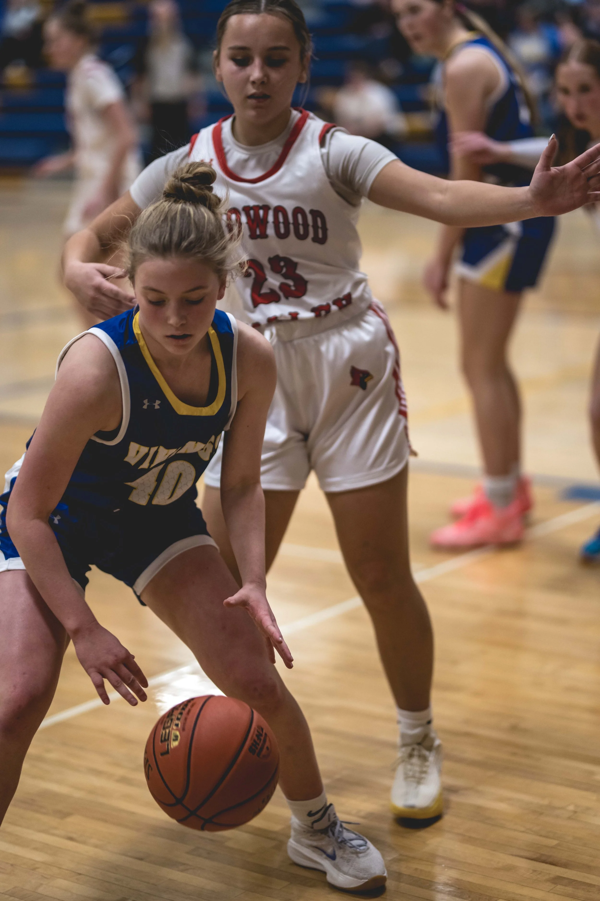 girls bball banner 2526 dark (195 of 195).JPG